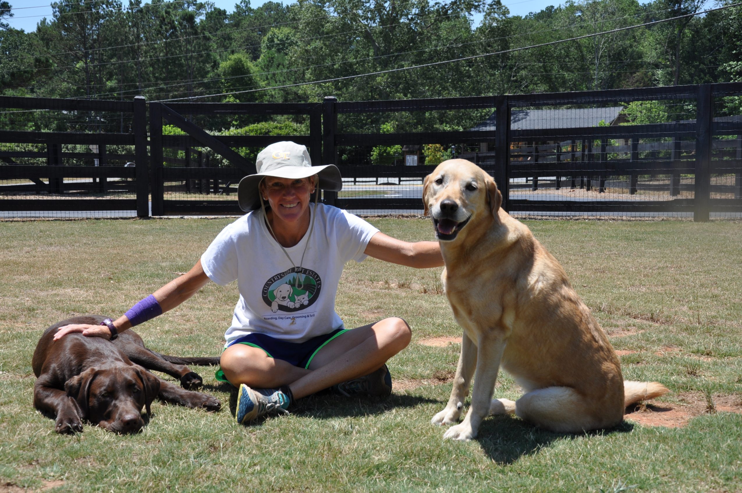 all natural pet food brands