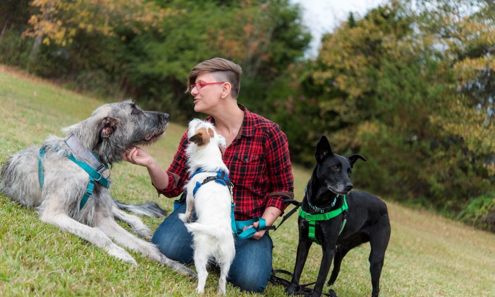 Meet Stephanie Brooks of Tail Lights Dogs in Greater Greenville Voyage ATL Magazine ATL City