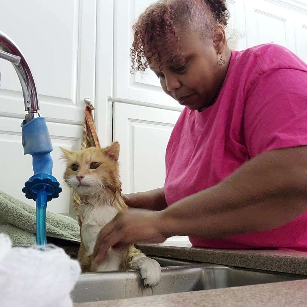 Meet Tiah Rodriguez of Super Tech Professional Pet Care Services