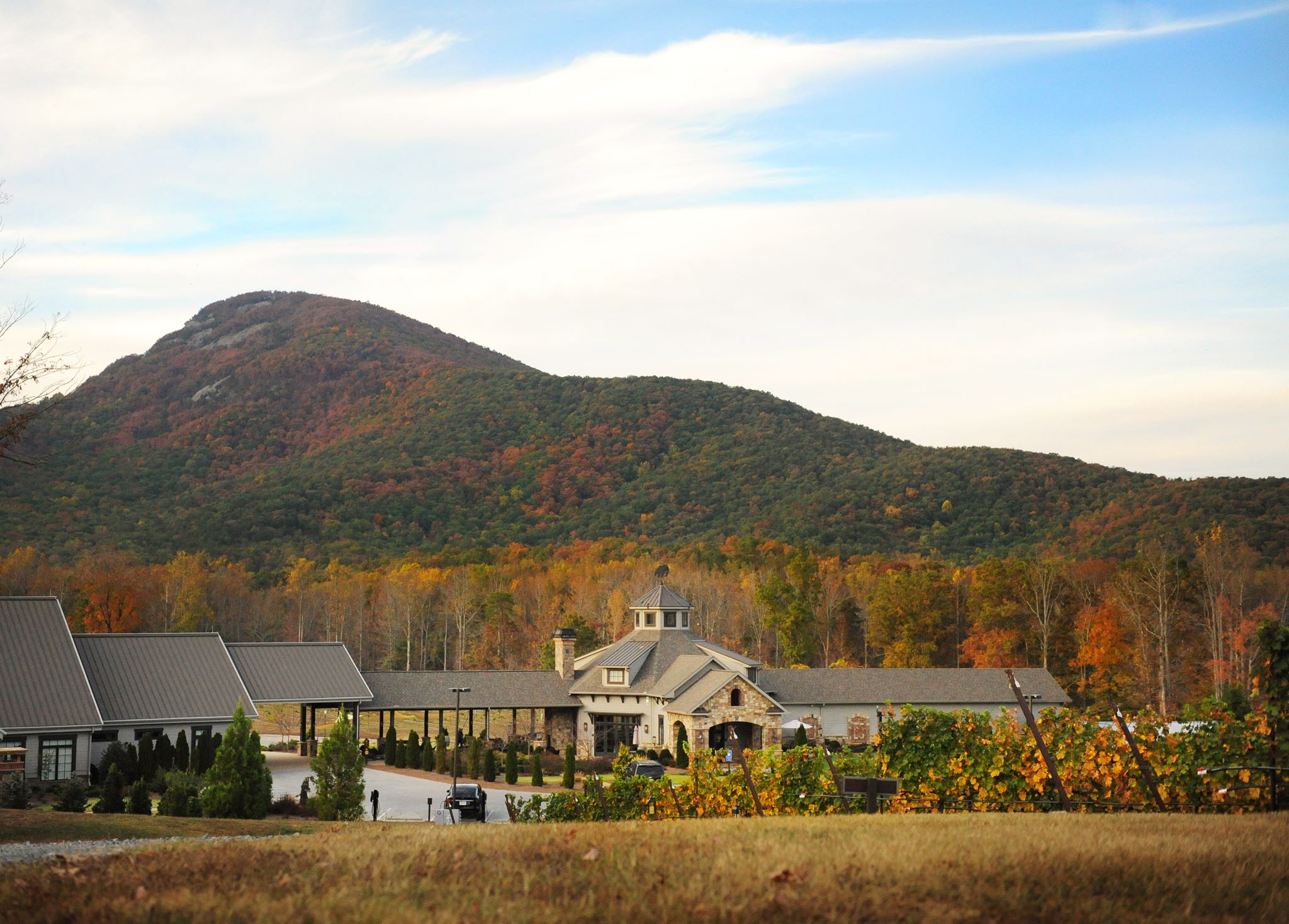 Yonah mountain winery new arrivals