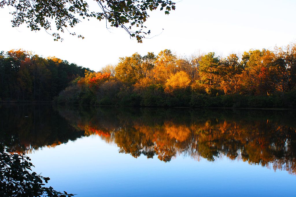 Lullwater_Candler_Lake