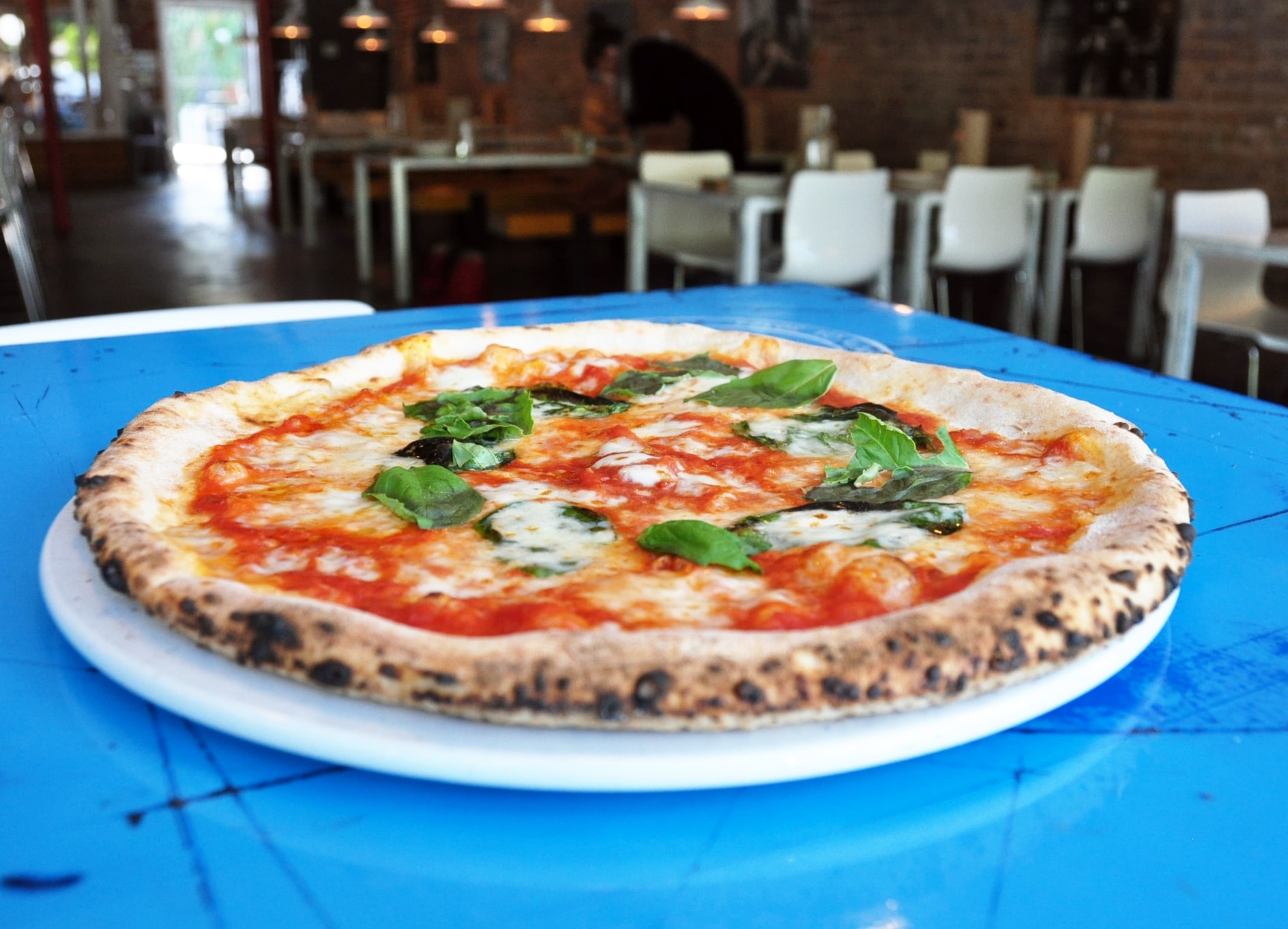 Margherita pizza with fresh buffalo mozzarella, Pecorino Romano and basil 