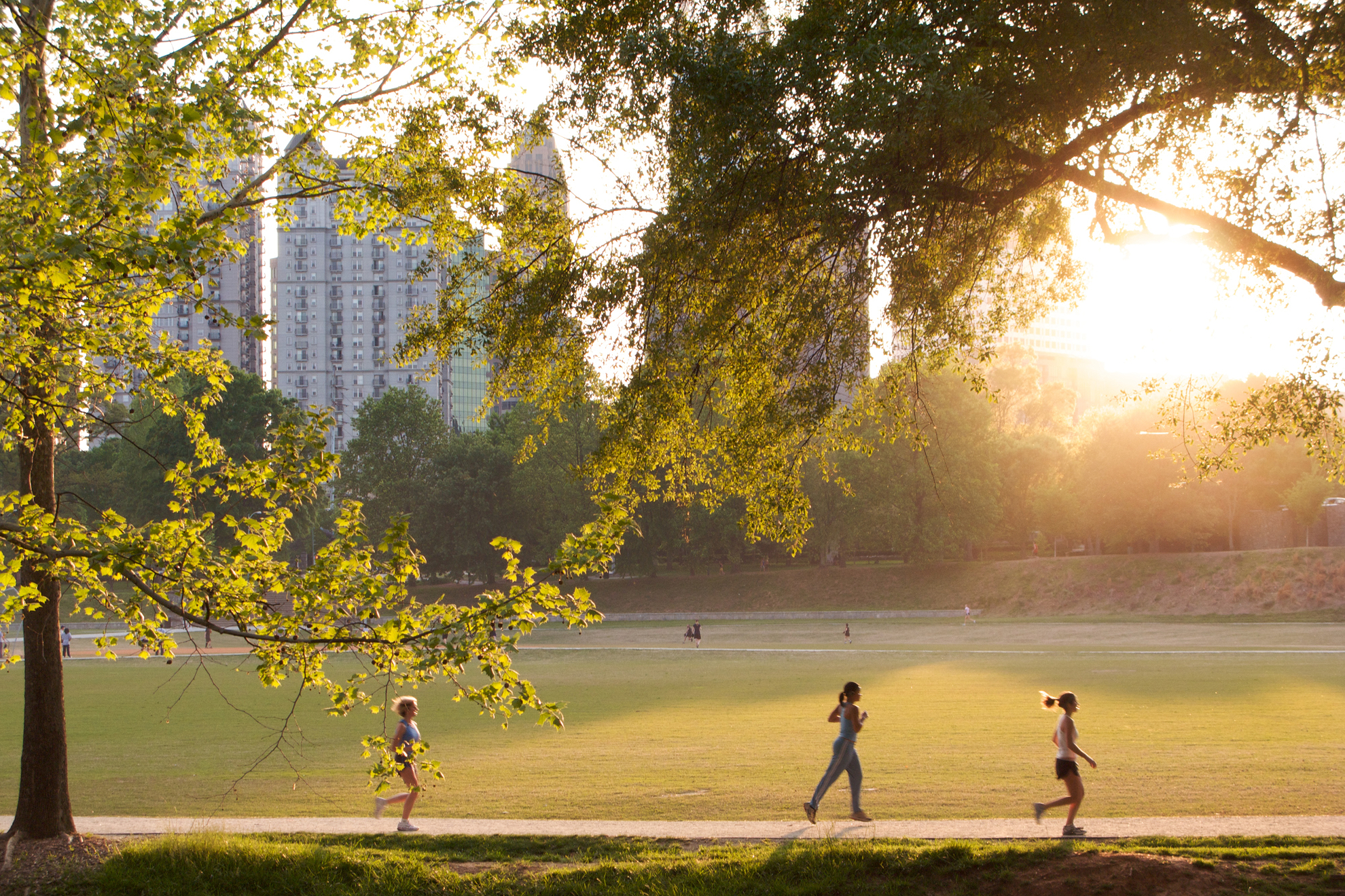 Piedmont Park