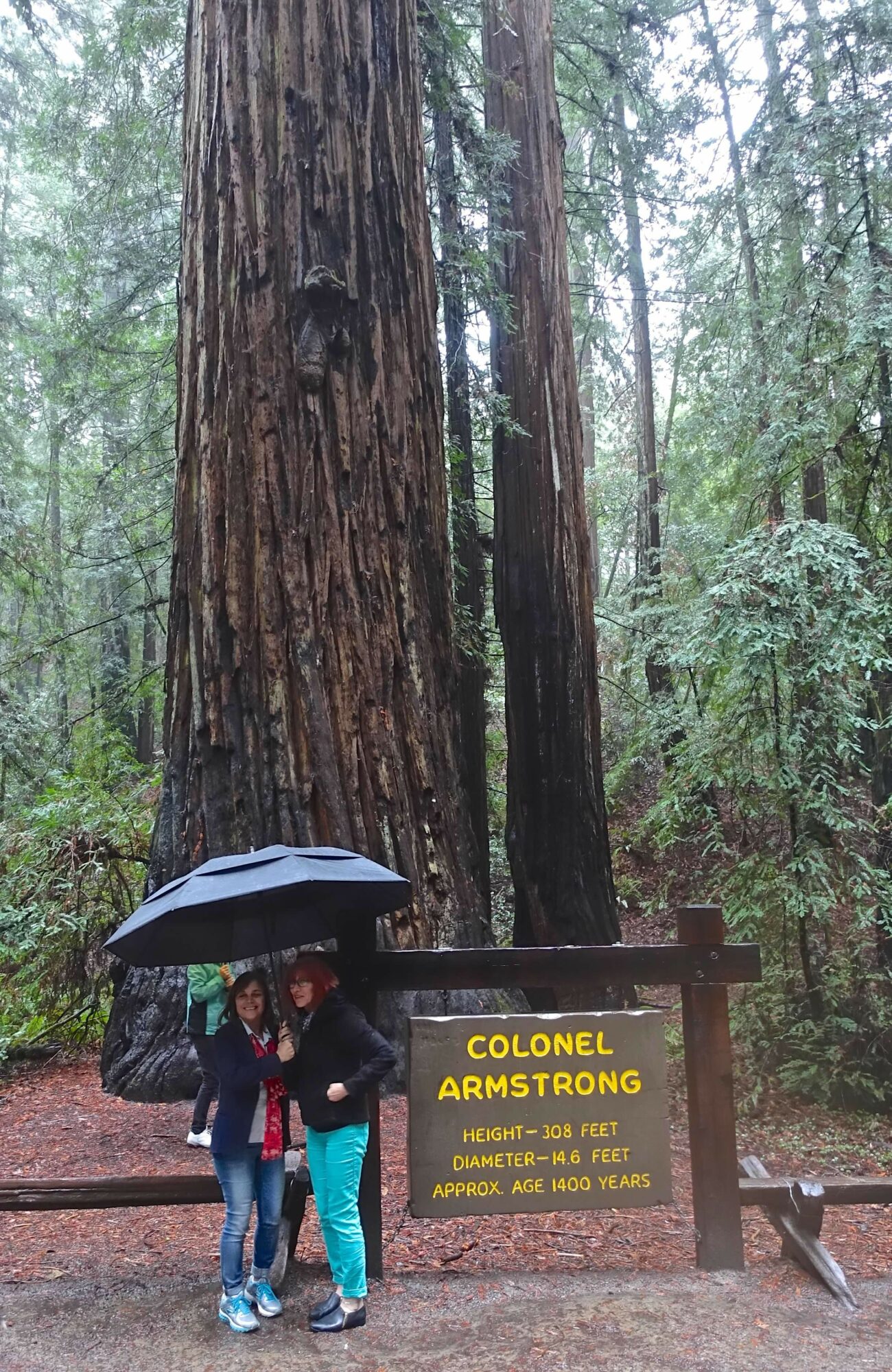 Two children standing next to a yellow sign in a forest, with large trees and green foliage around them.