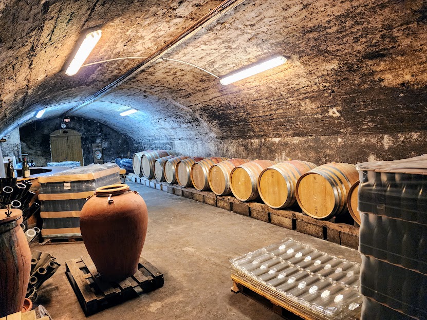 Wine barrels stored in a tunnel with artificial lighting, large clay jar, and plastic containers on pallets.