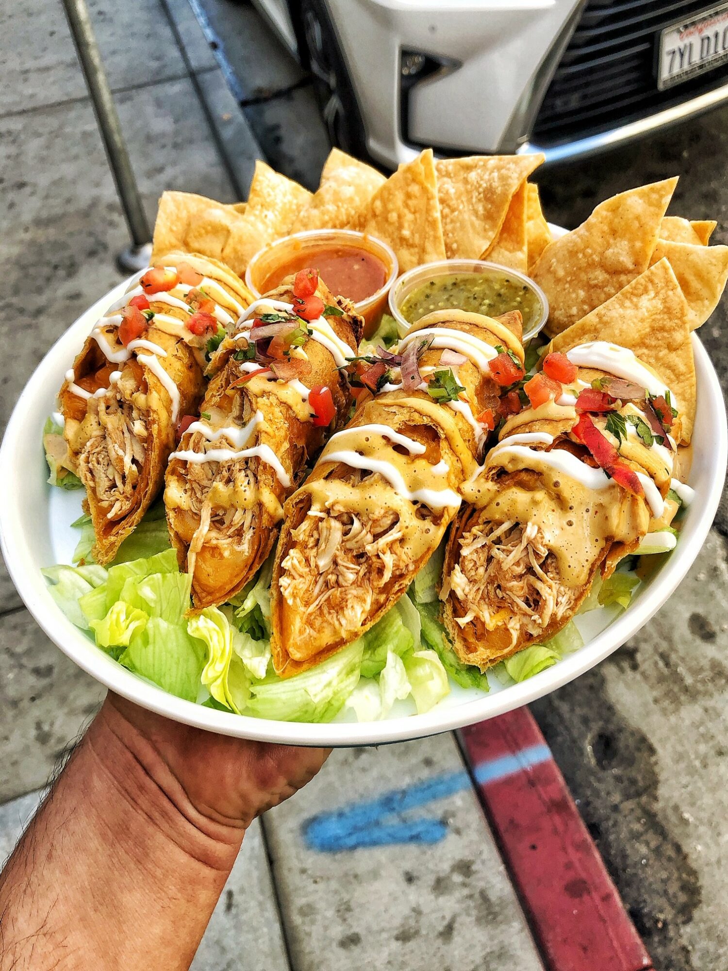 Plate of tacos with shredded meat, vegetables, sauces, and tortilla chips on a bed of lettuce outdoors.