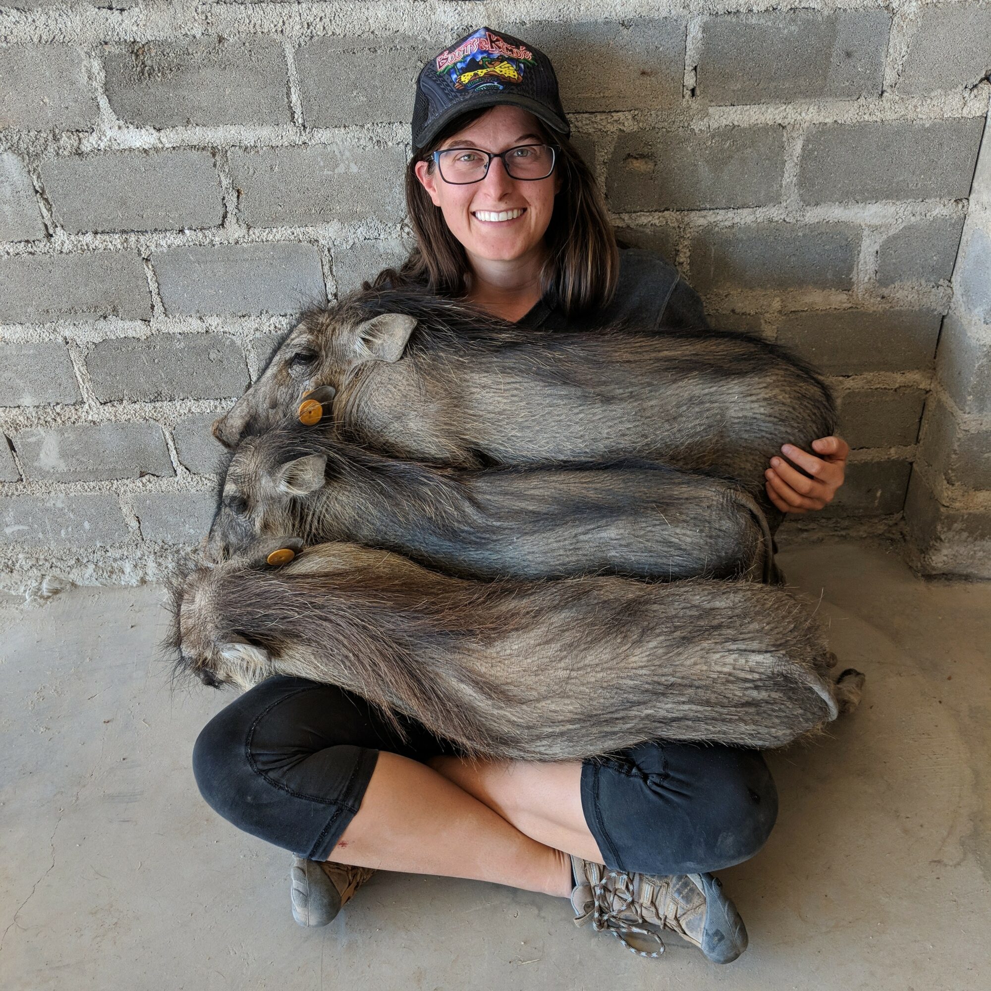 Person sitting cross-legged holding three large guinea pigs, smiling, against a brick wall background.