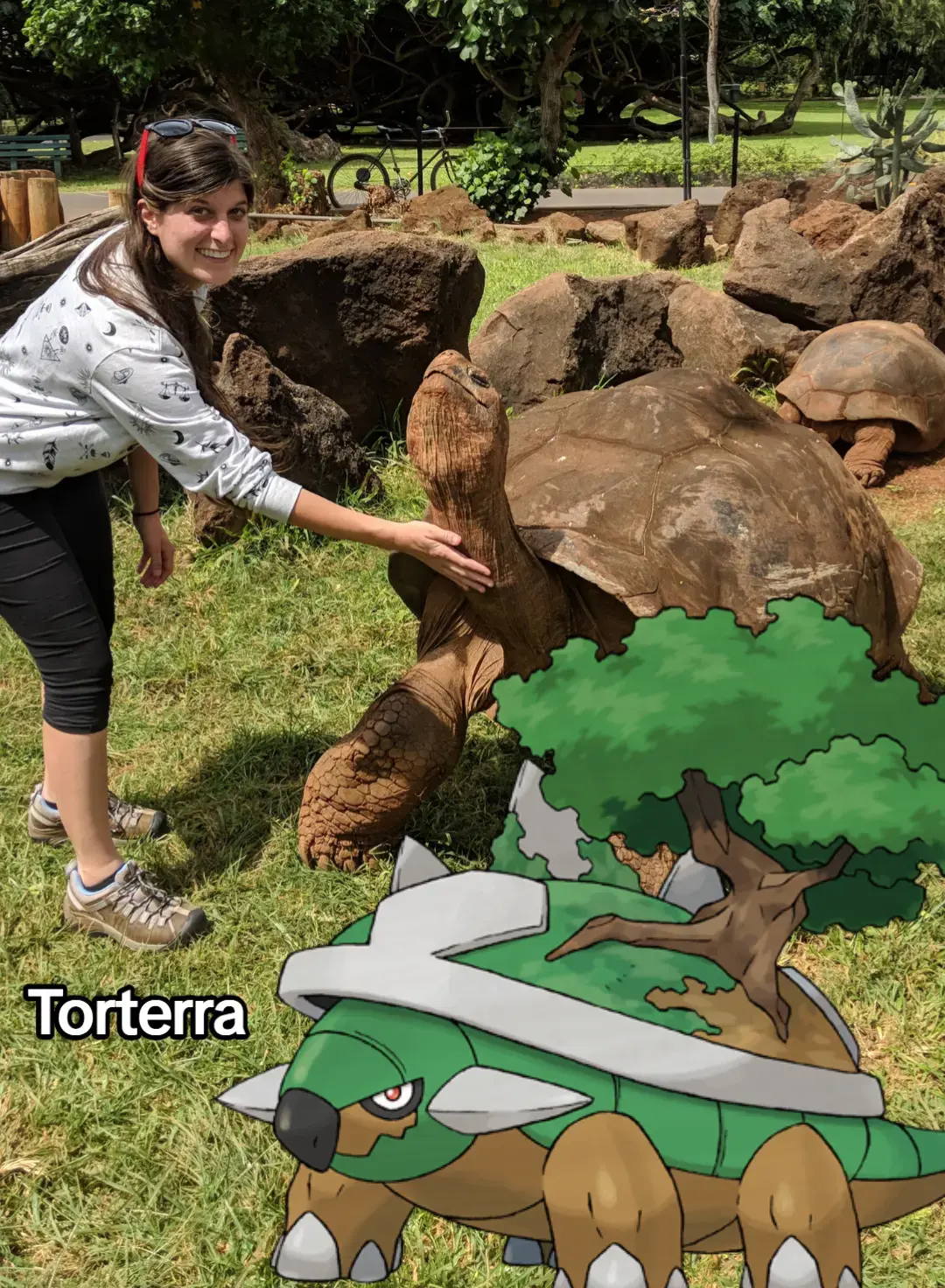 Girl touching a turtle sculpture outdoors with rocks and trees in background.