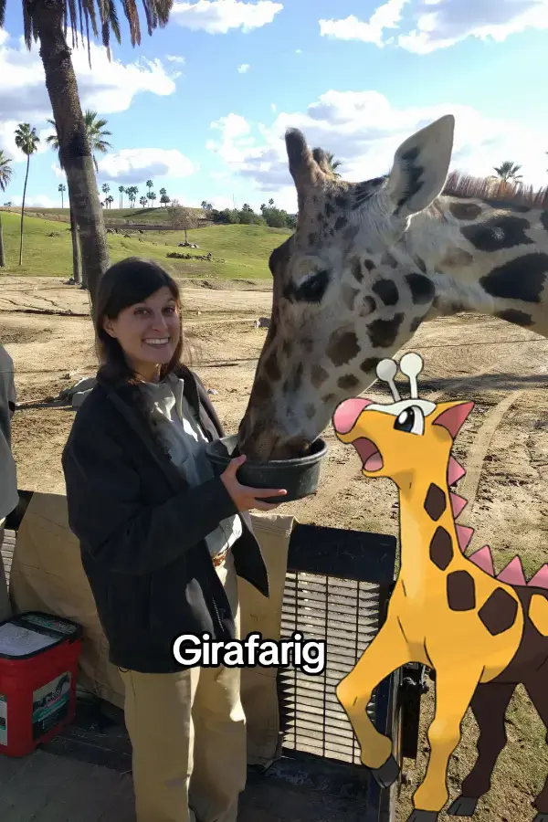 Girl feeding a giraffe in an outdoor zoo setting with trees and open sky.