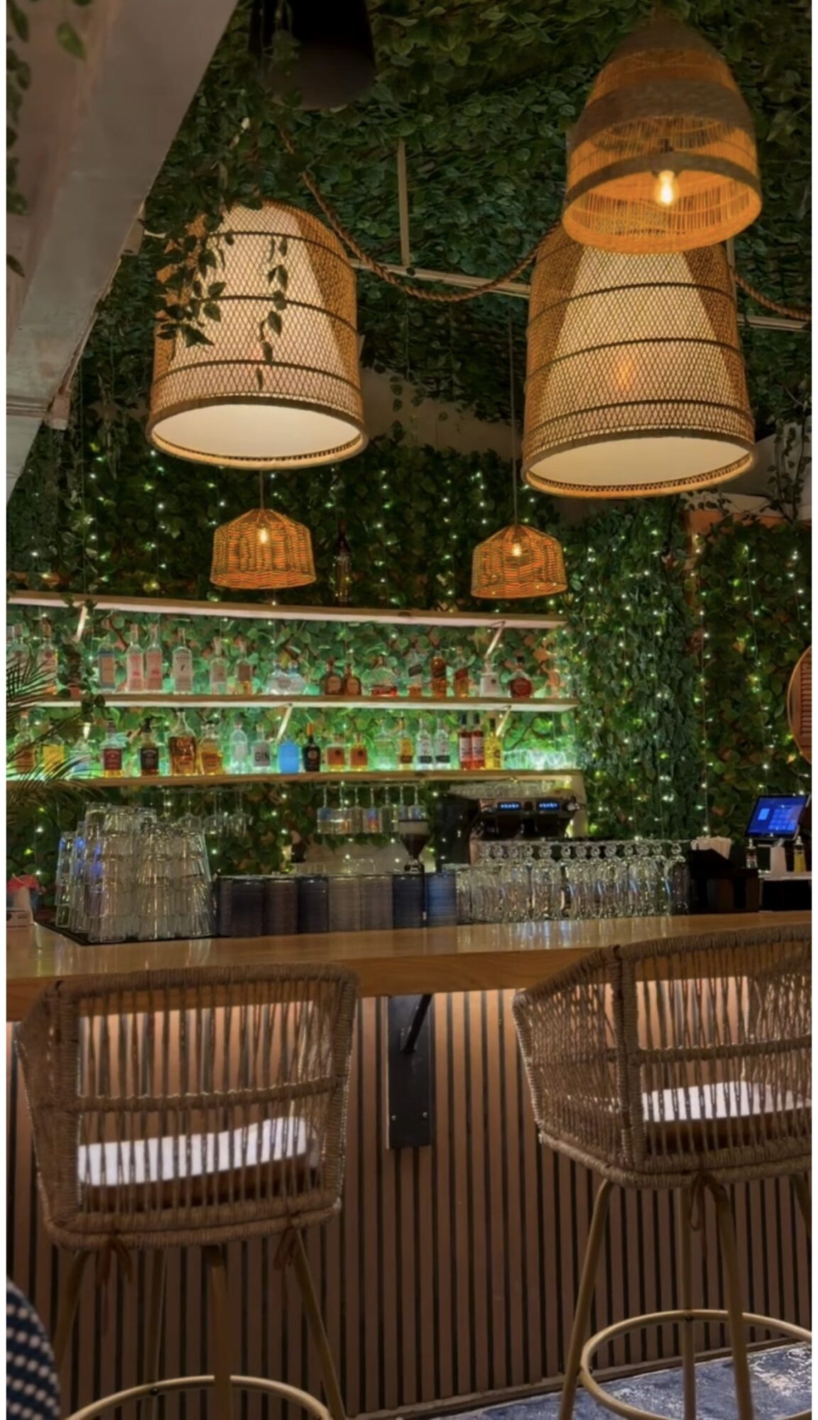Bar with hanging lamps, greenery, and bar stools, illuminated warmly, with bottles on shelves in background.