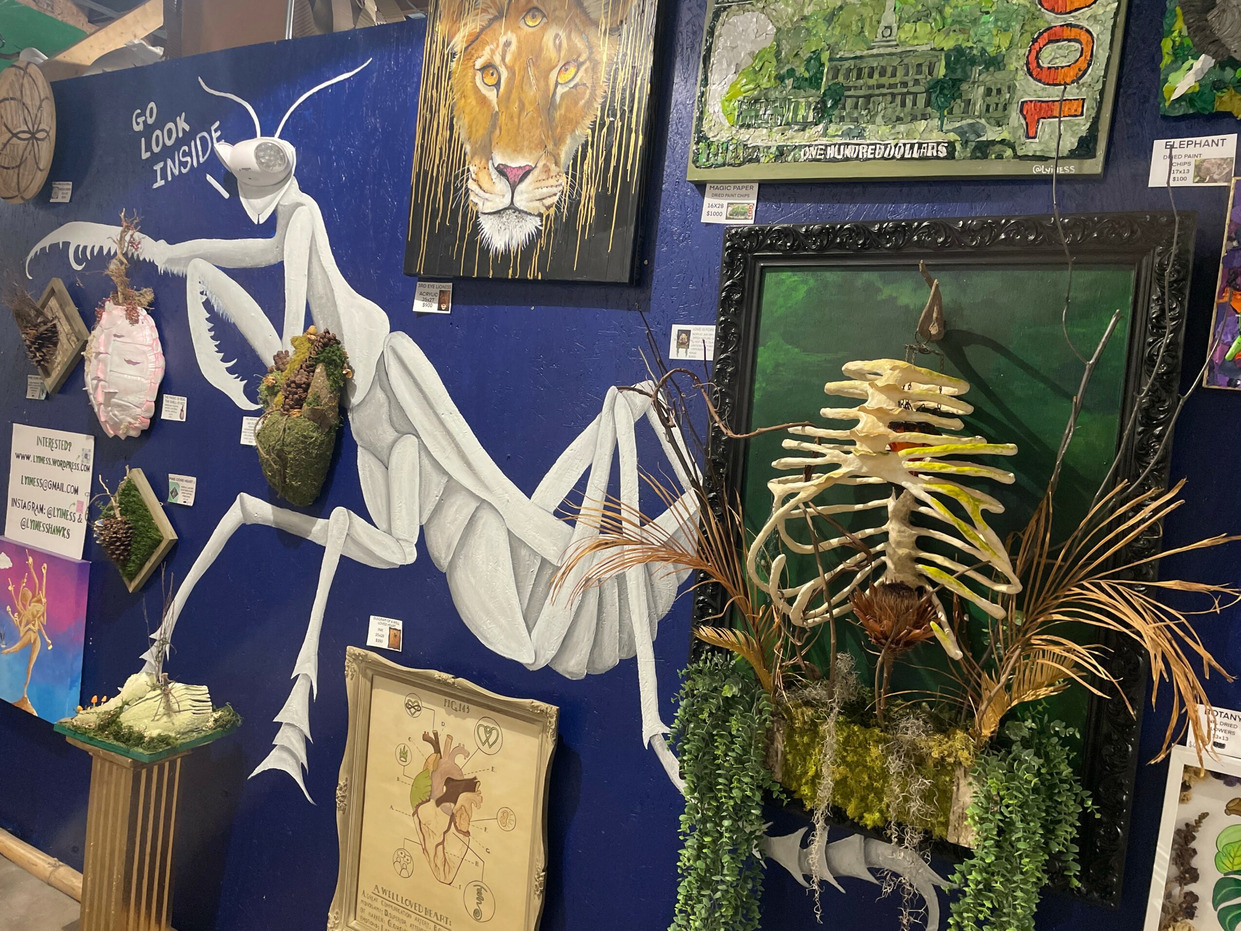 Wall decorated with paintings, a large white spider sculpture, and plants in a display case.