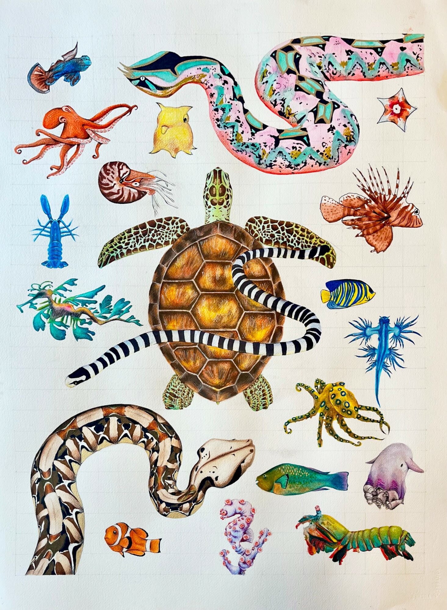 Collection of various colorful sea creatures including a turtle, snake, octopus, fish, crab, and starfish.