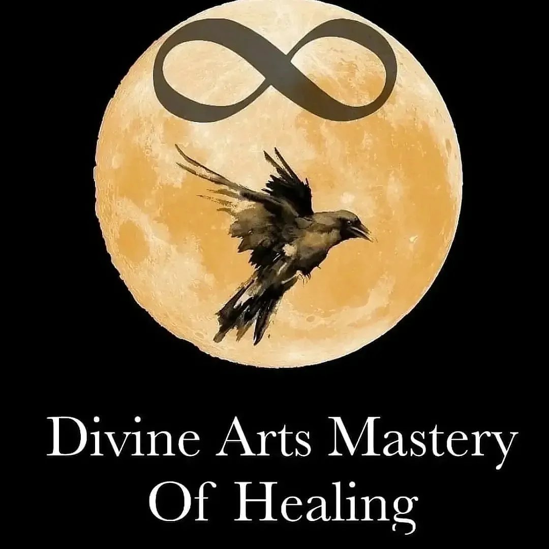 A bird flying in front of a full moon with an infinity symbol above and text below reading 'Divine Arts Mastery Of Healing'.