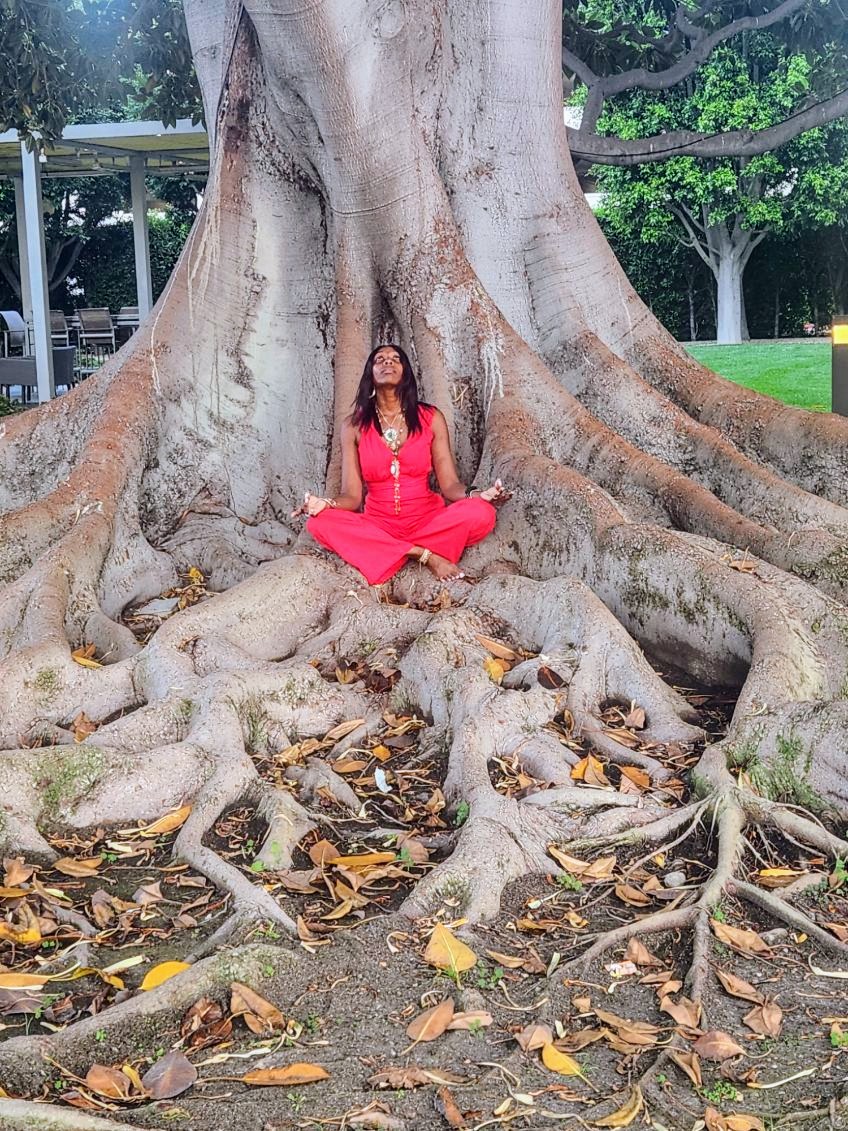 Woman in pink dress sitting cross-legged at the base of a large tree with sprawling roots.
