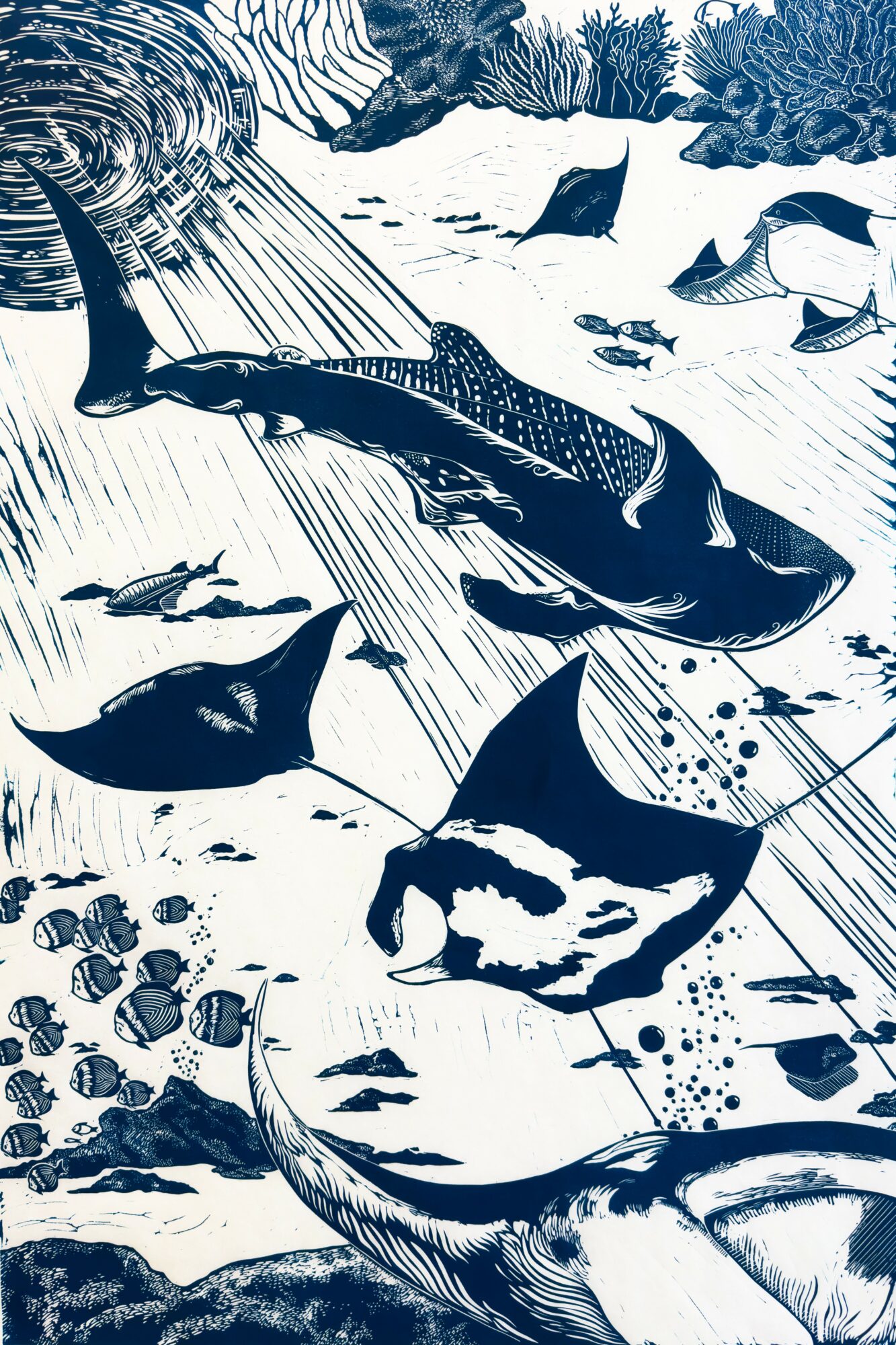 Underwater scene with various fish, a large fish, and a whale, with water and rocks in the background.