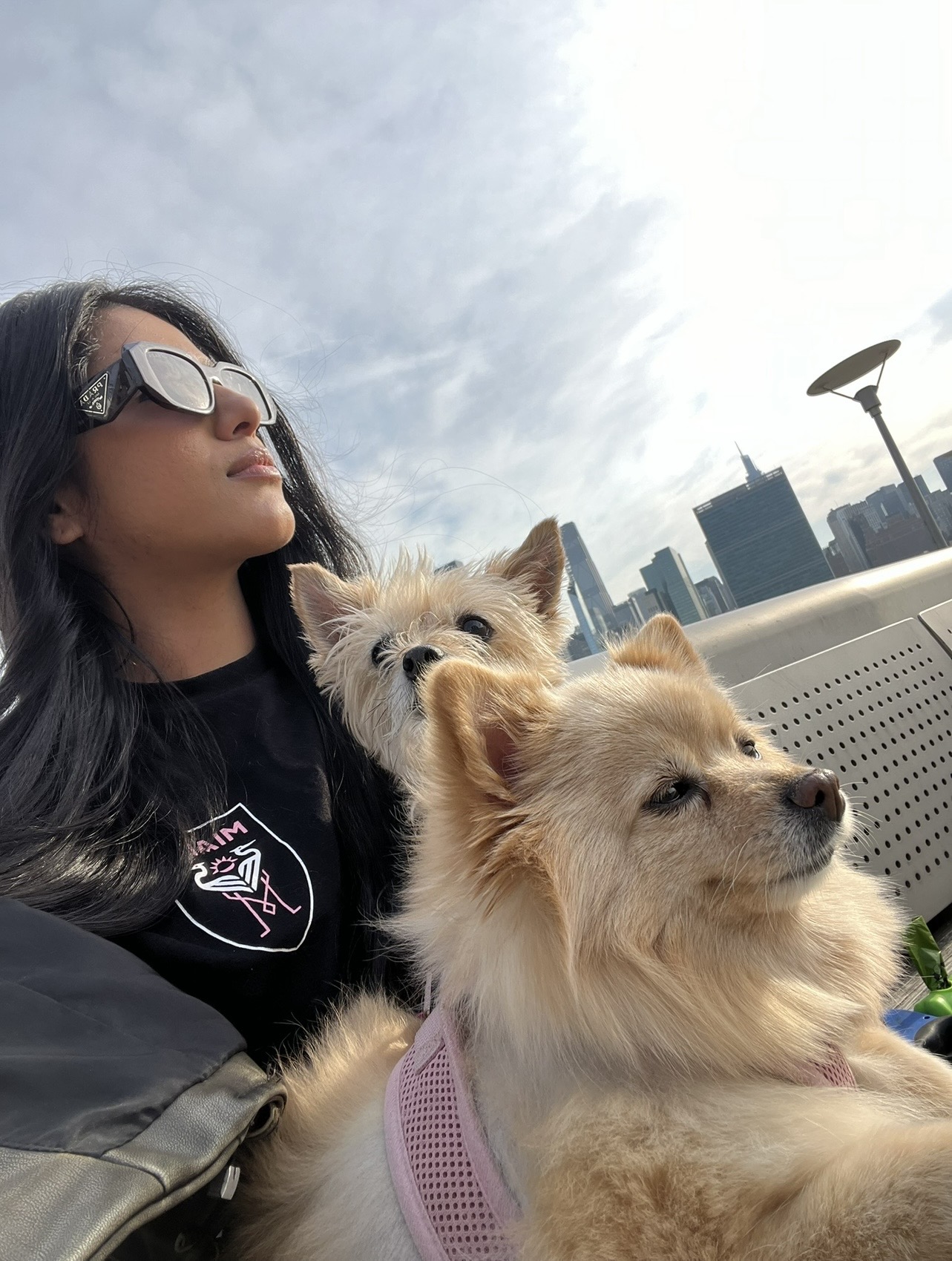 Woman with long dark hair wearing sunglasses and a black shirt, sitting outdoors with two small dogs, city skyline in background.