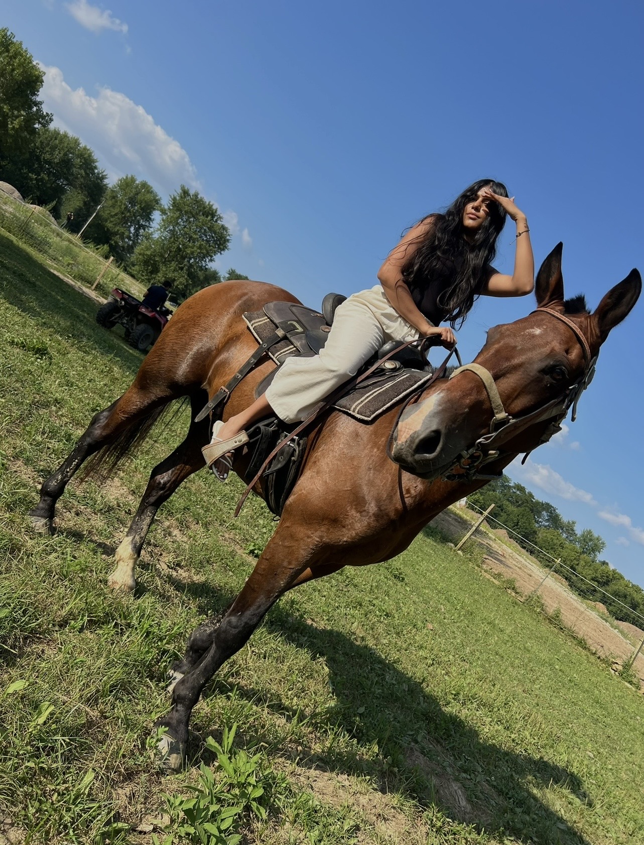 Woman with long dark hair sitting on a brown horse in a grassy field under a blue sky.