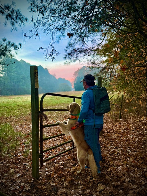 Person with backpack and dog near a metal gate in a forested area during sunset.