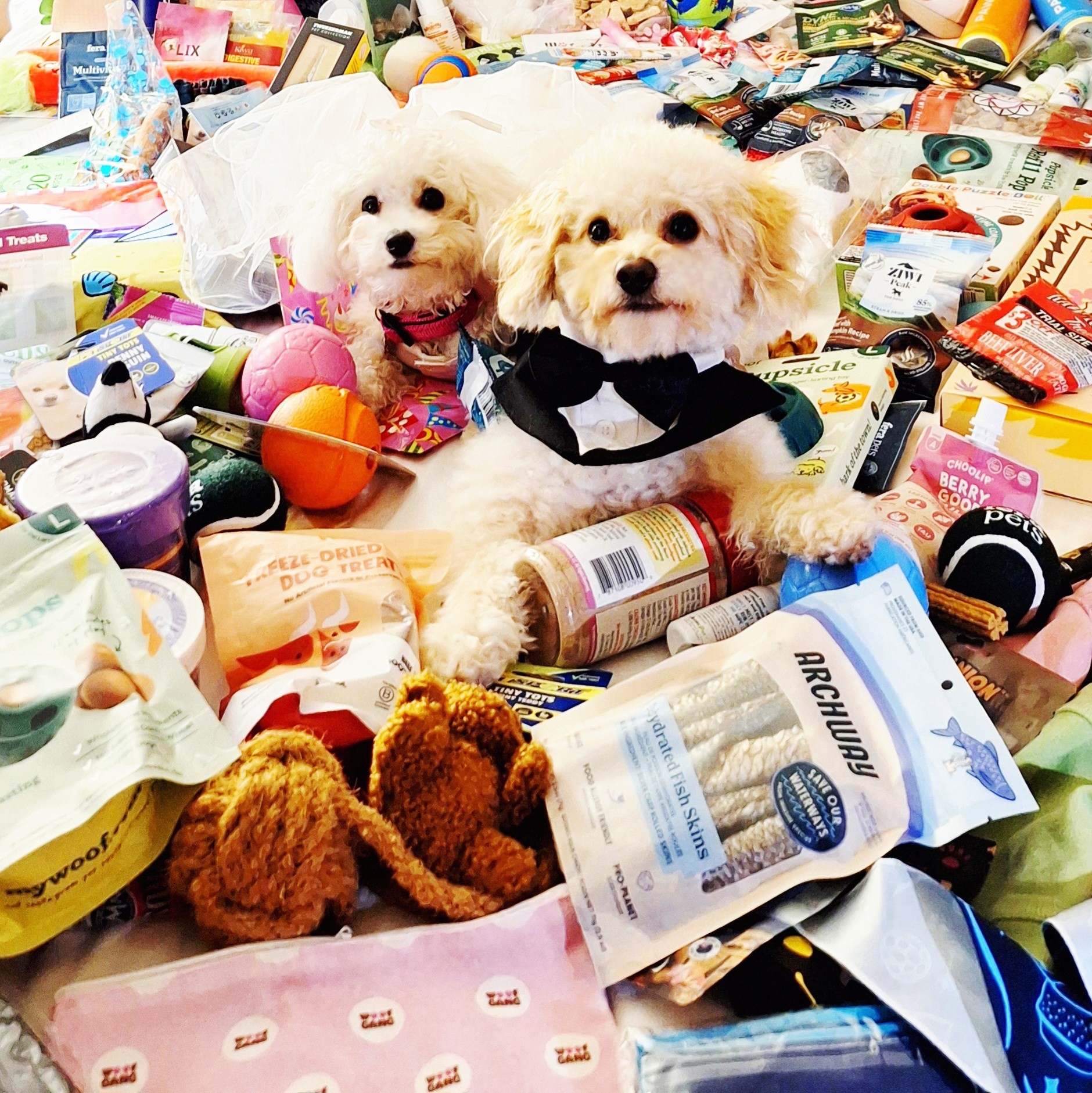 Two small white dogs among scattered snacks, toys, and packaging on a cluttered surface.