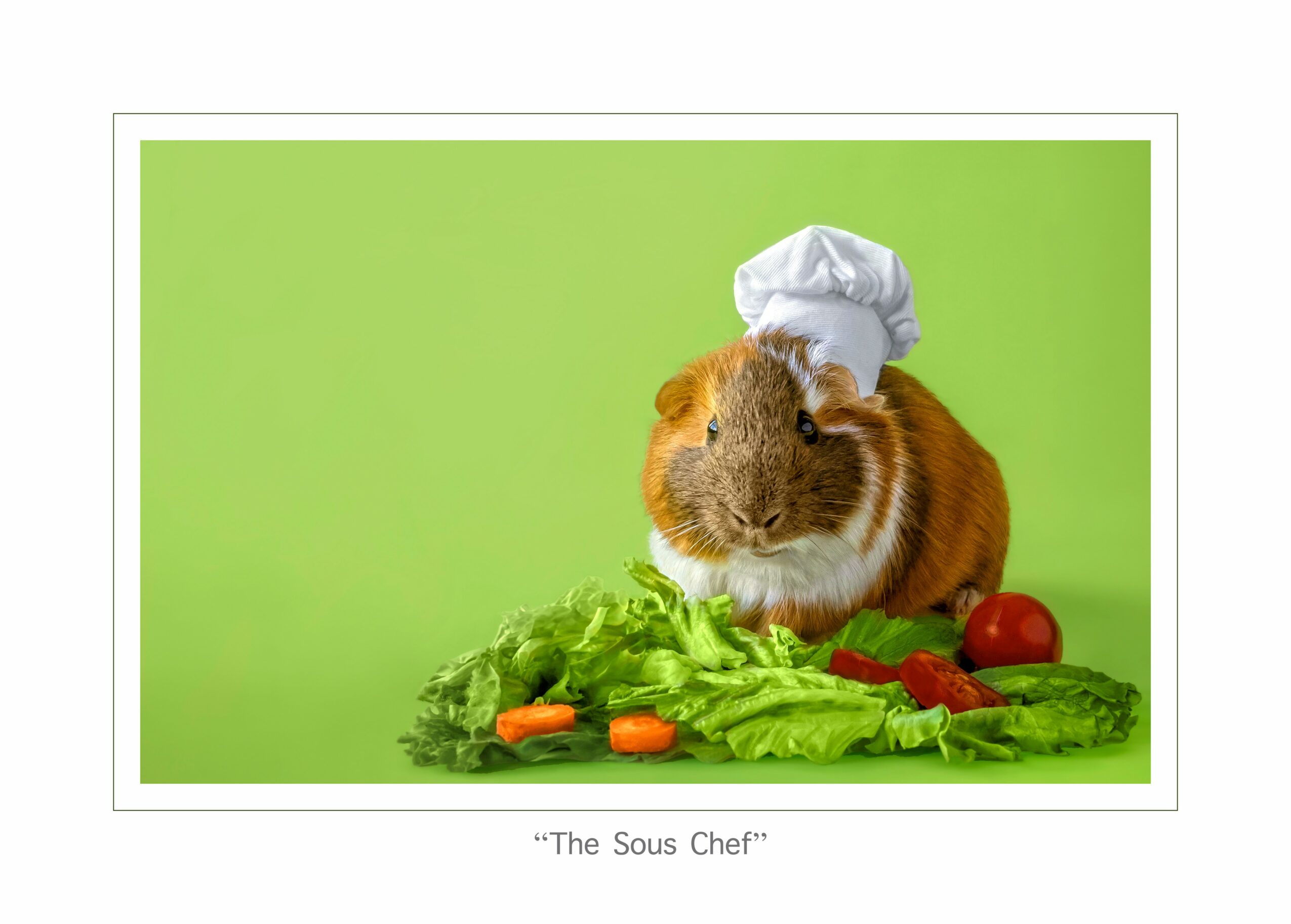 Guinea pig wearing a chef's hat surrounded by vegetables on a green background.