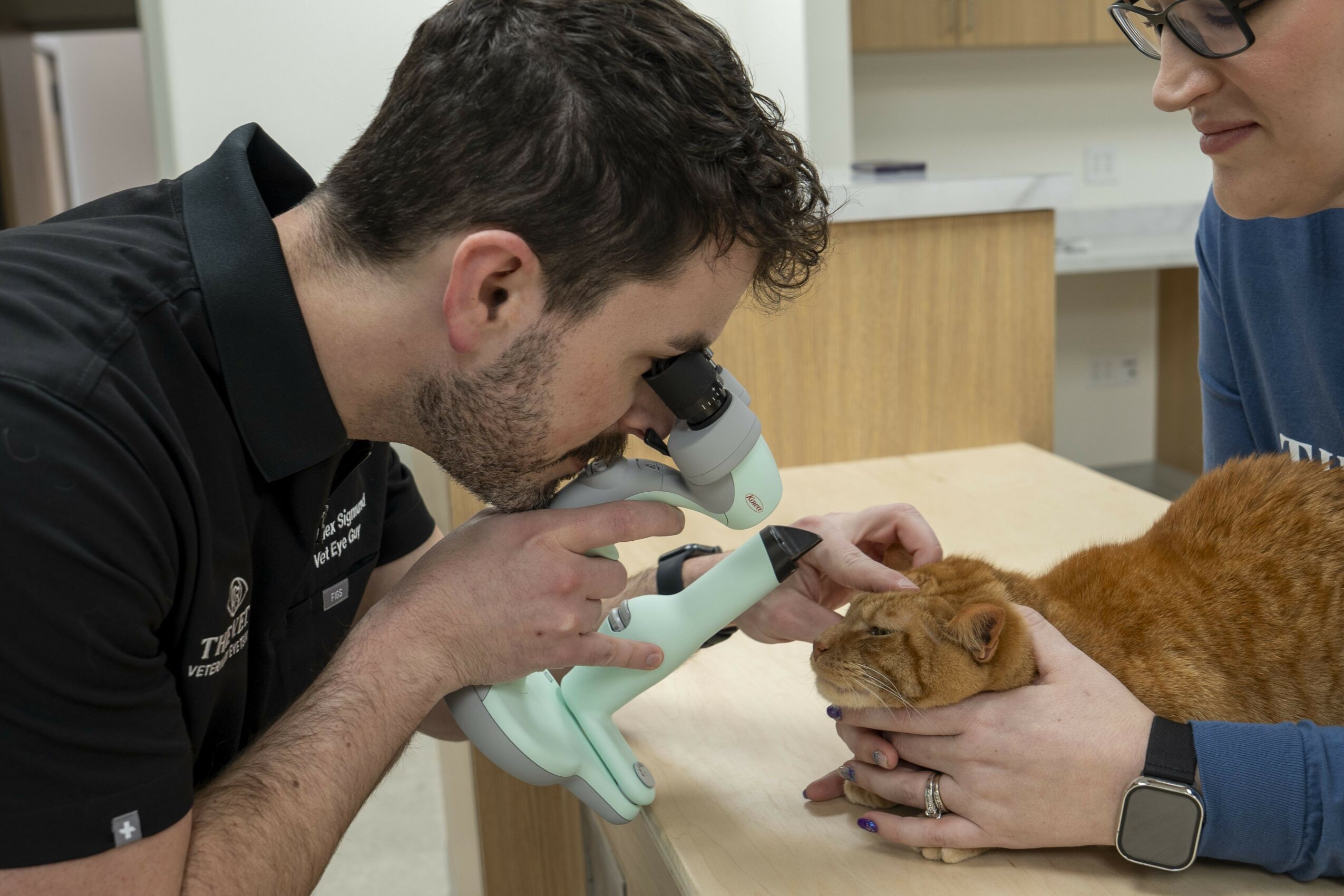 Veterinarian examines an orange cat with a microscope in a clinical setting, with a person holding the cat.