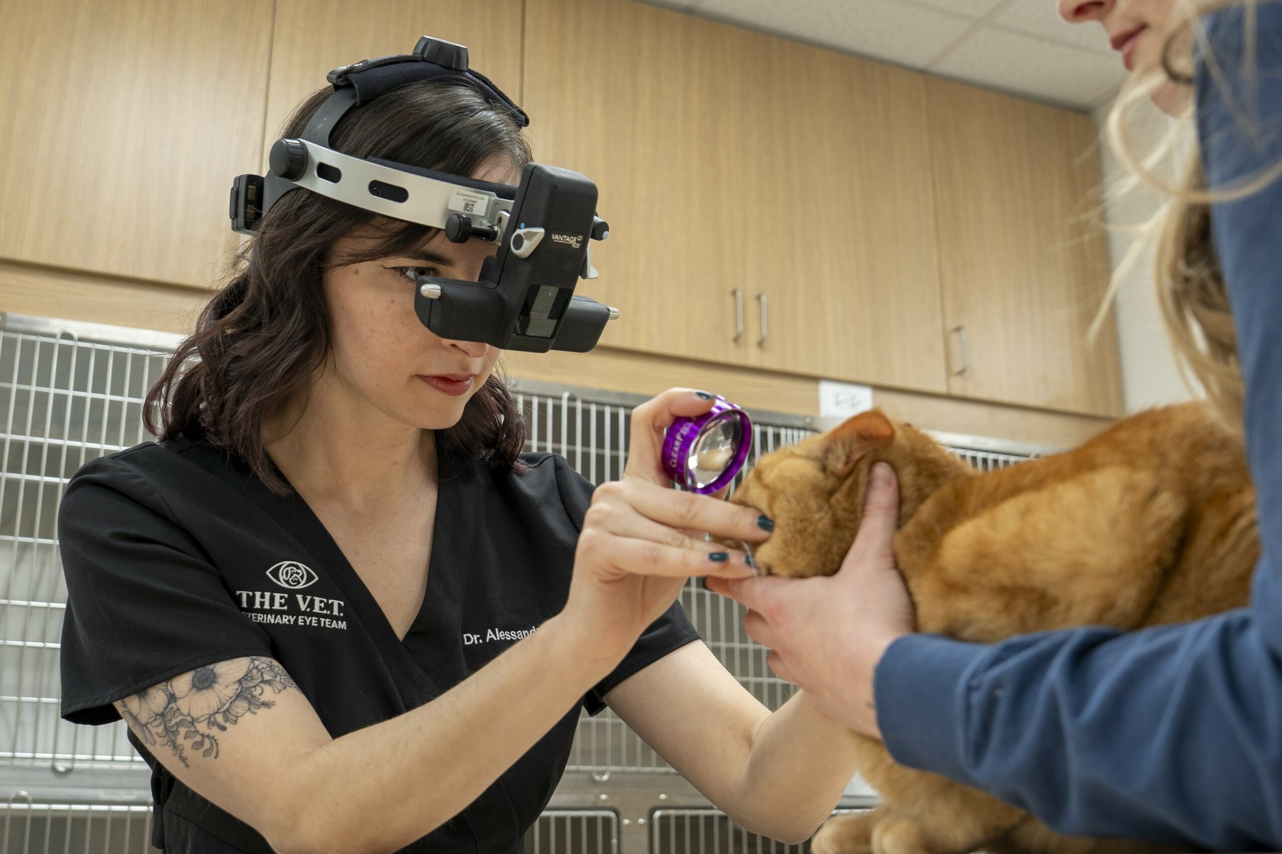 Veterinarian wearing magnifying glasses examines a small brown dog held by a person in a veterinary clinic.