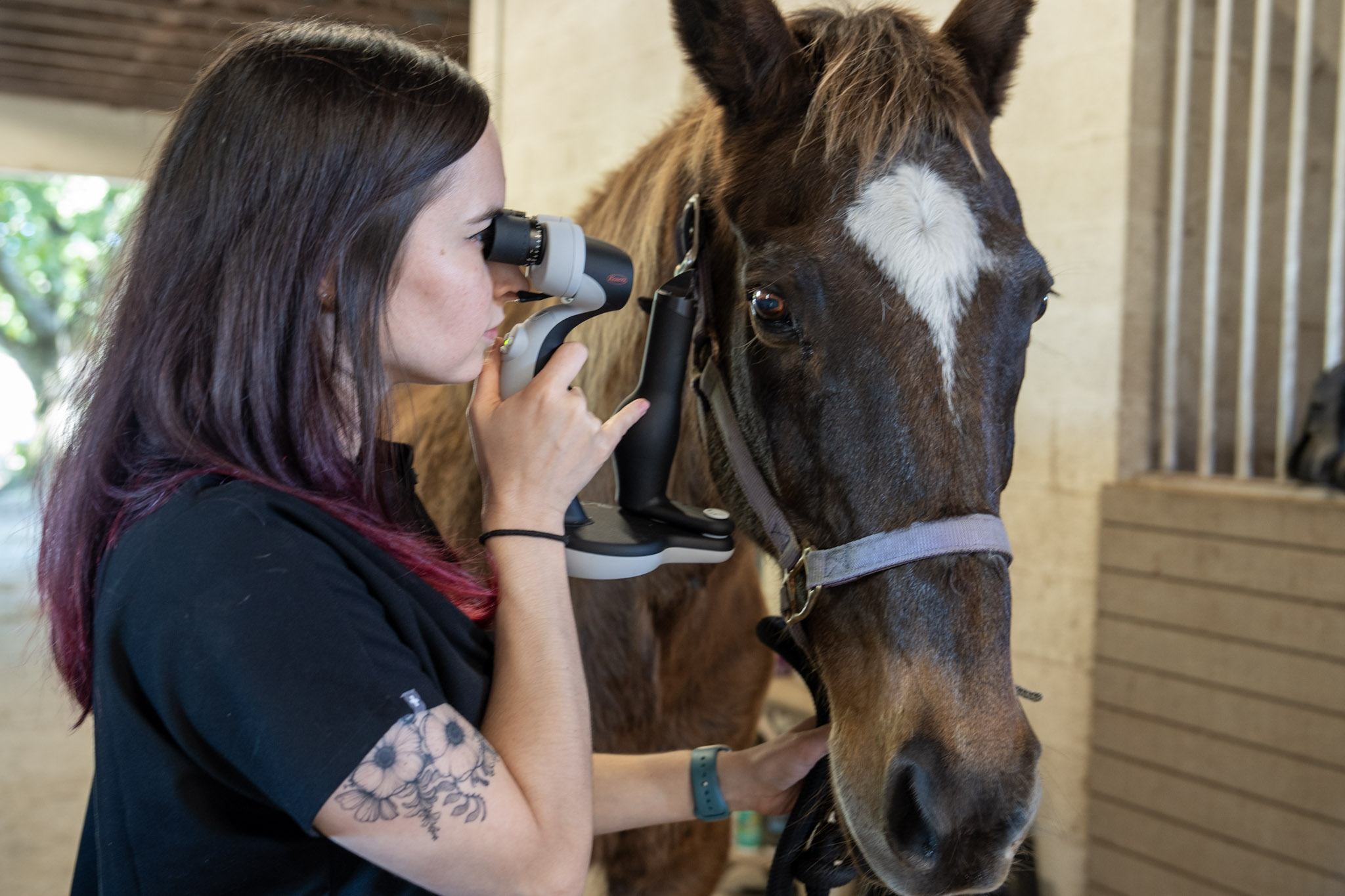 Woman looking through binoculars at a brown horse inside a stable.