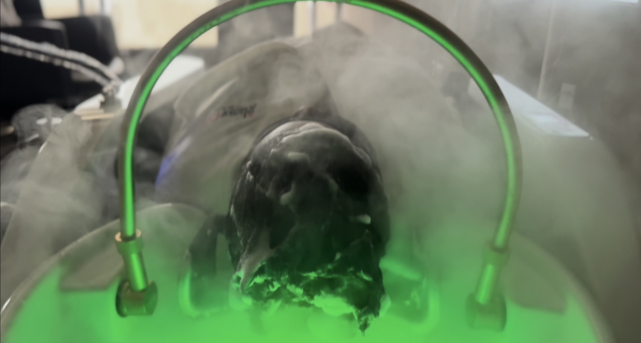 A person submerged in a green-lit tank with fog or vapor around them.