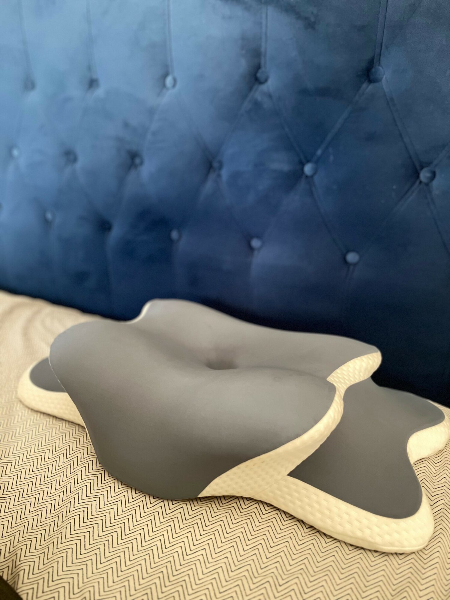 Gray and beige abstract-shaped object on a textured surface with a blue tufted background.