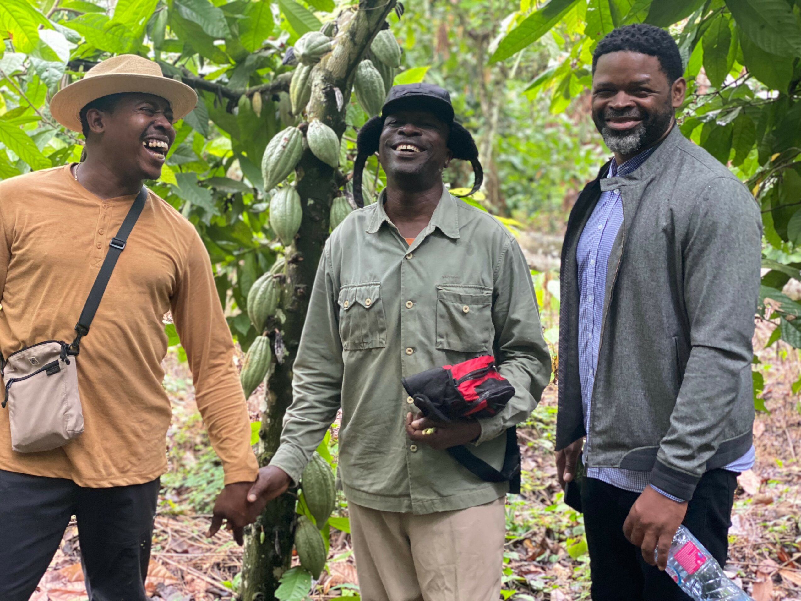 Three people smiling and holding hands in a lush, green cacao plantation.