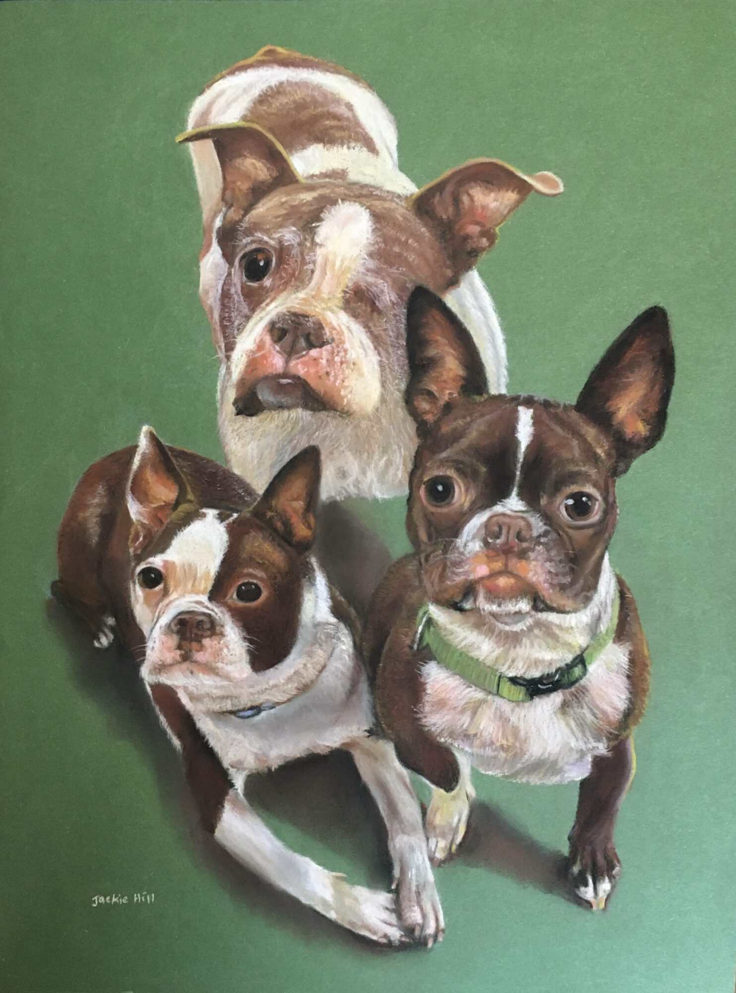 Four dogs of different breeds and sizes pose together against a green background.