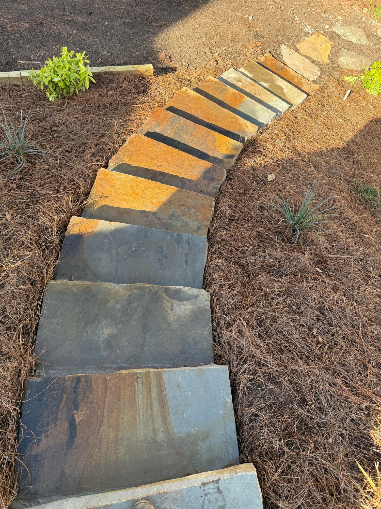 Curved stone pathway with large, flat stones in a garden, surrounded by soil and small plants.