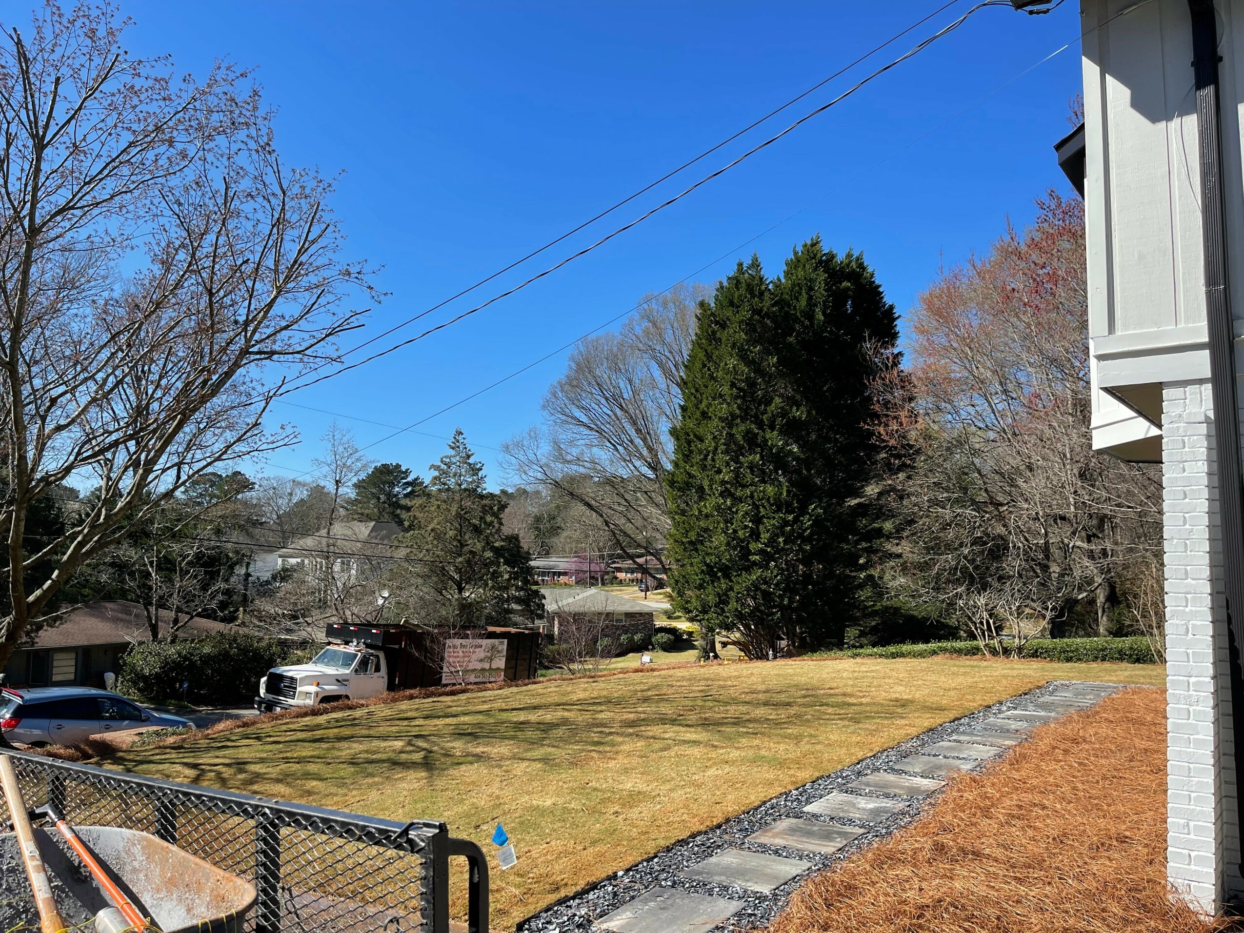 Residential yard with trees, grass, and a stone pathway, under a clear blue sky.