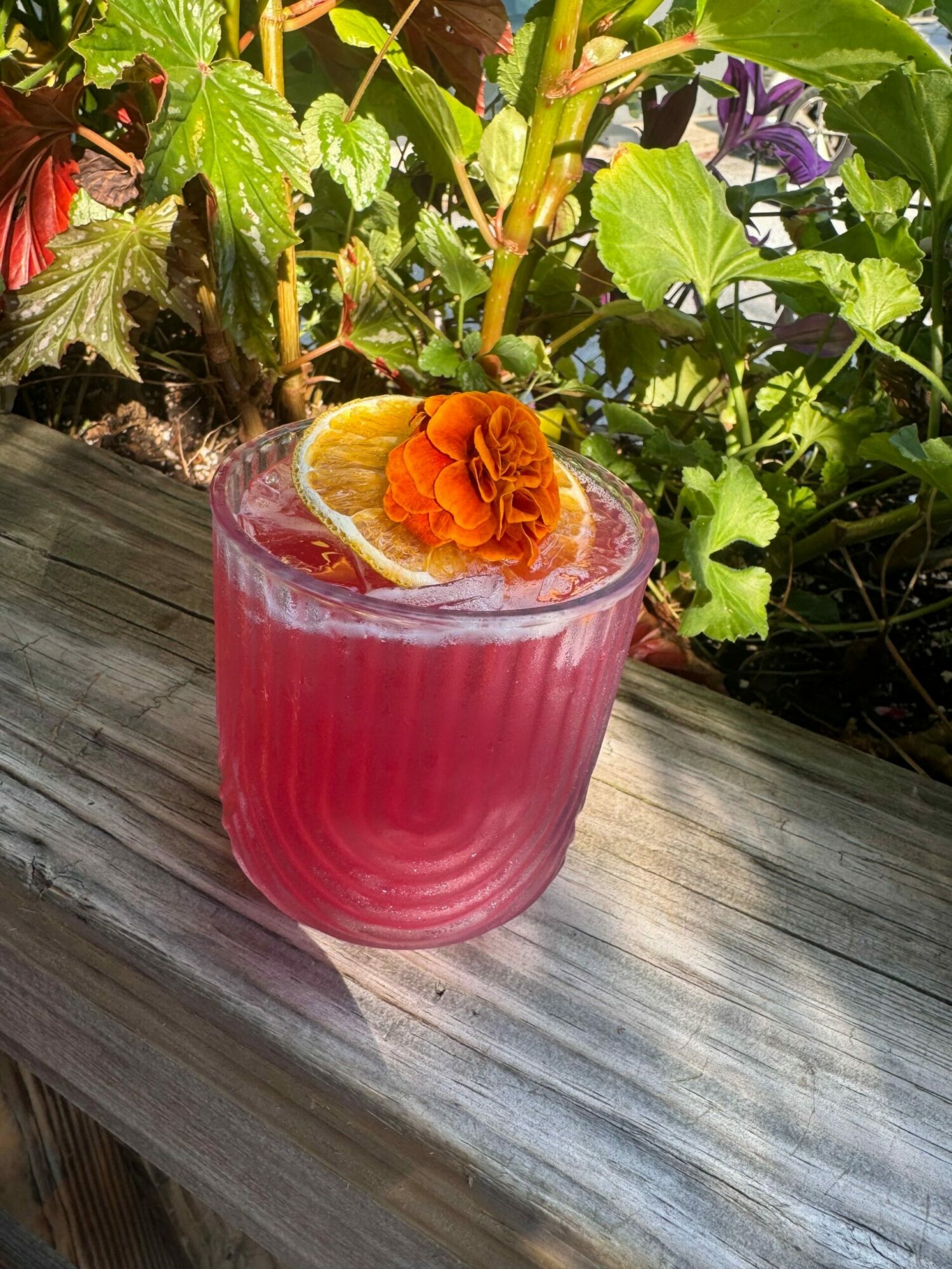 Pink drink in a glass with an orange flower and lemon slice, on a wooden surface with green plants nearby.