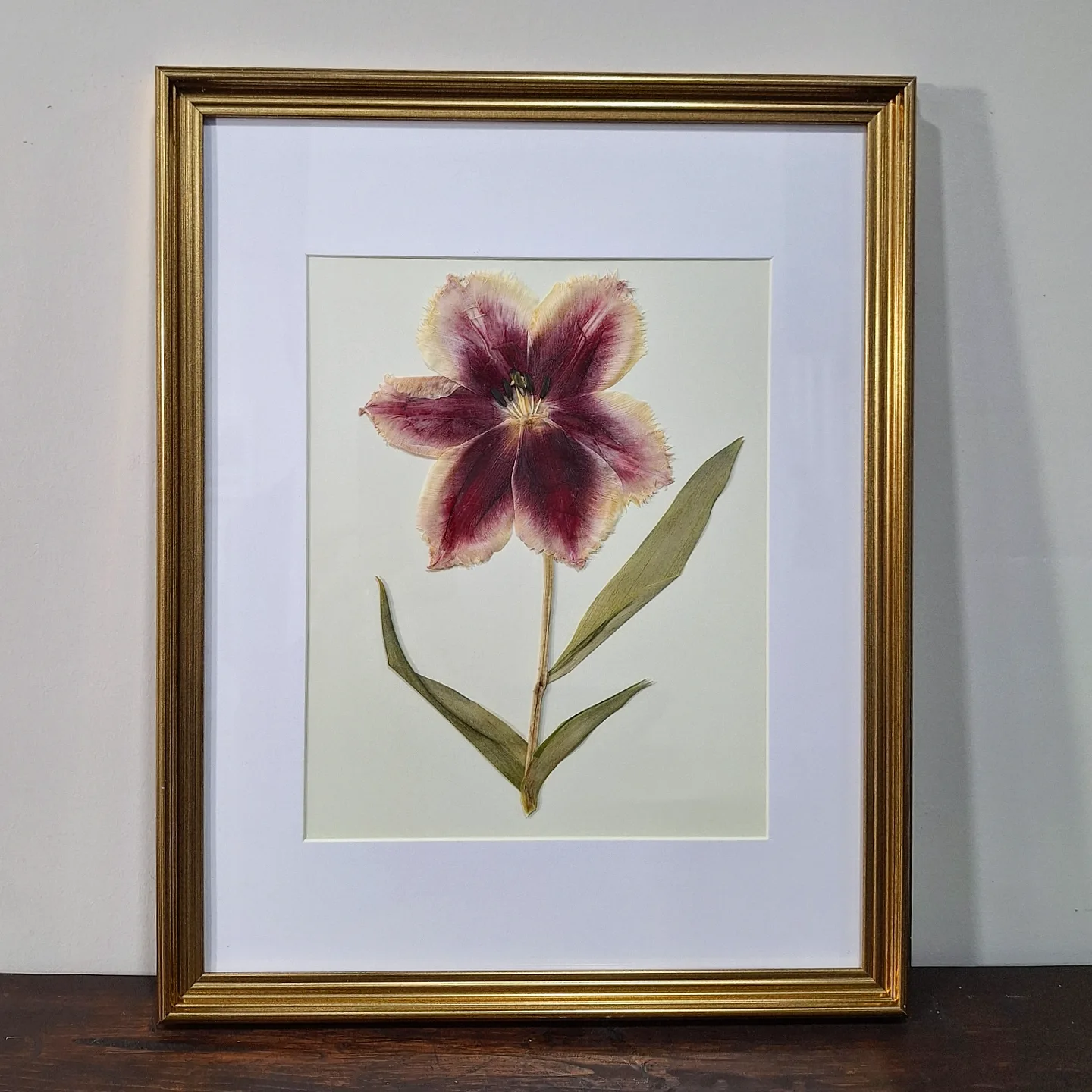 Framed pressed flower with a large purple and pink bloom, green stem, and leaves on white background.