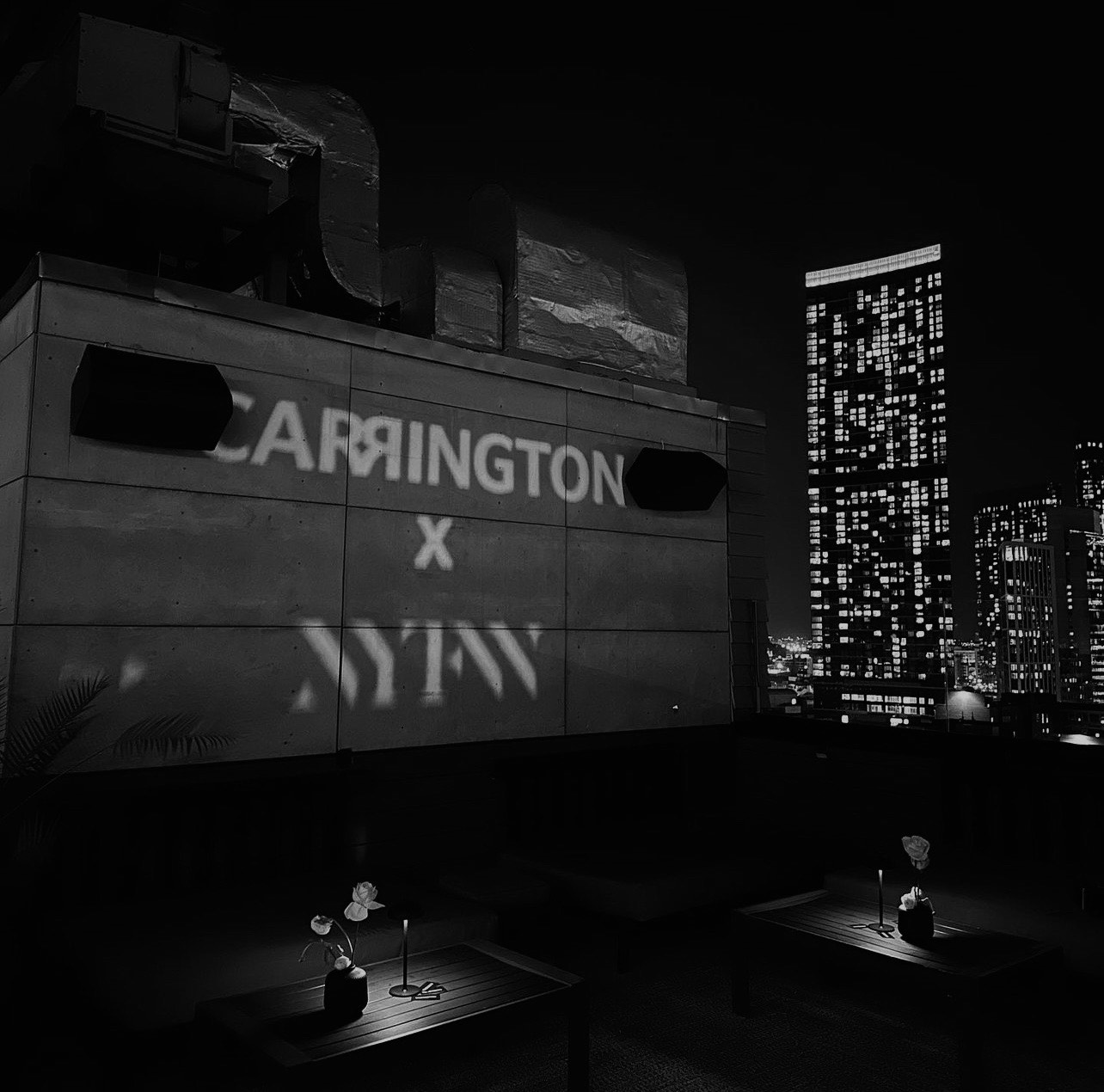 Night scene with illuminated signs on a building and city skyline in the background, black and white, with potted plants on tables.
