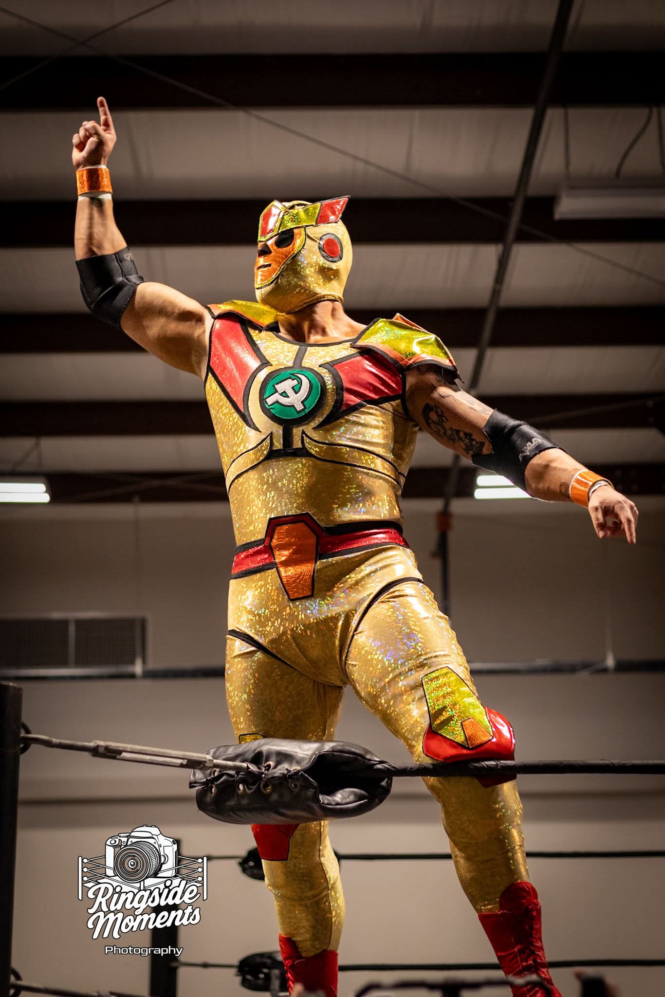 Wrestler in colorful costume and mask standing on ring ropes, raising one arm, in an indoor arena.