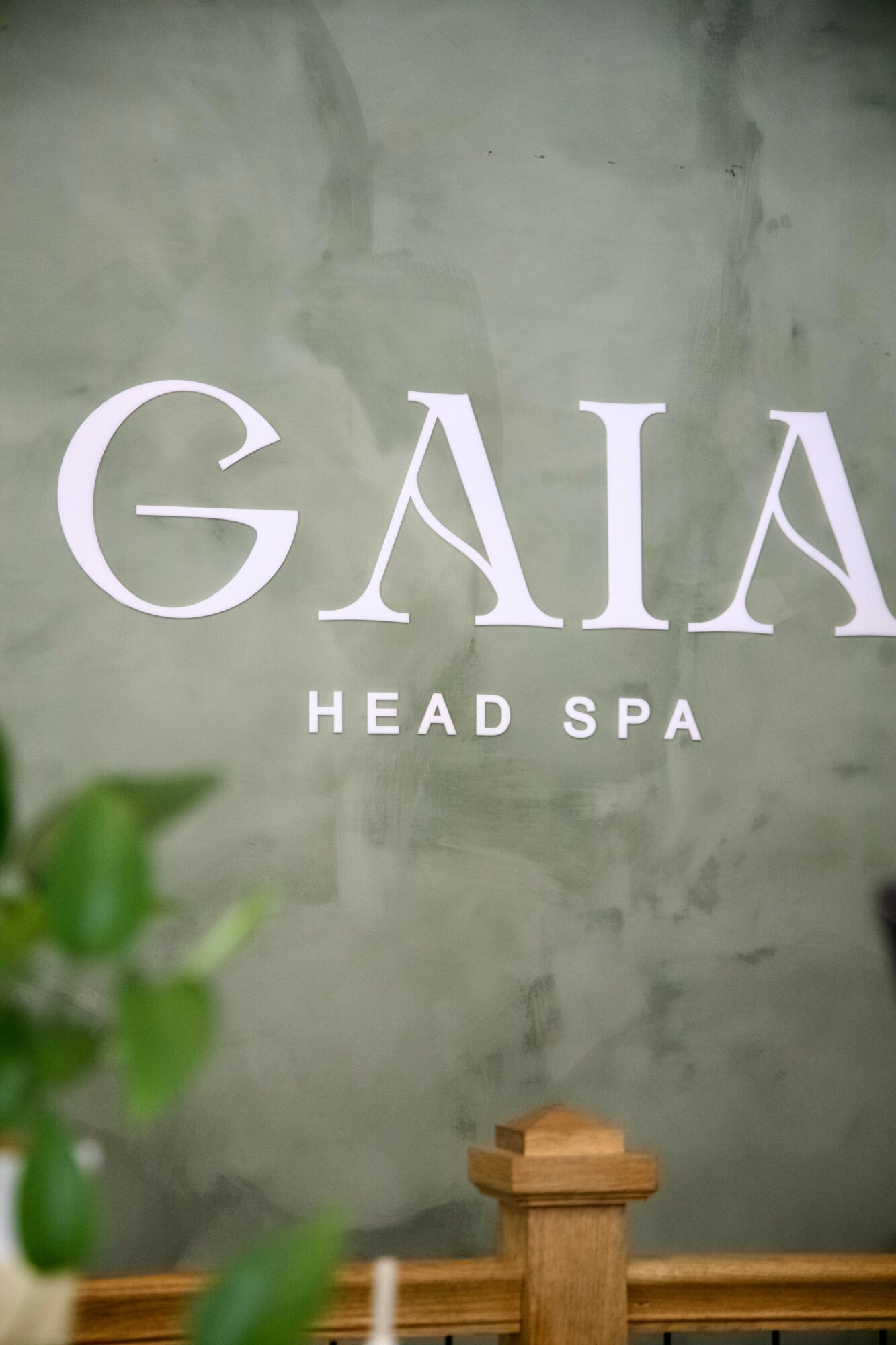 Sign with the words 'GAIA HEAD SPA' on a gray wall, partially obscured by a green plant in the foreground.