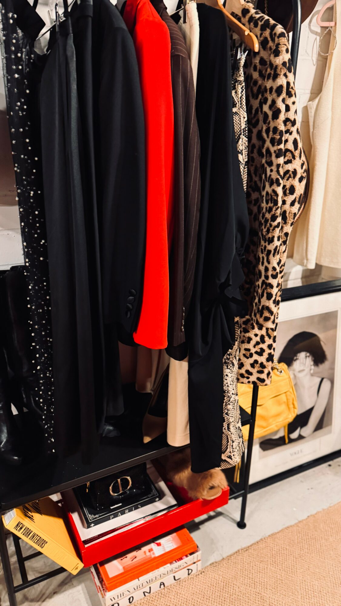 Clothes hanging on a rack, including black, red, and leopard print garments, with a shelf below holding bags and boxes.