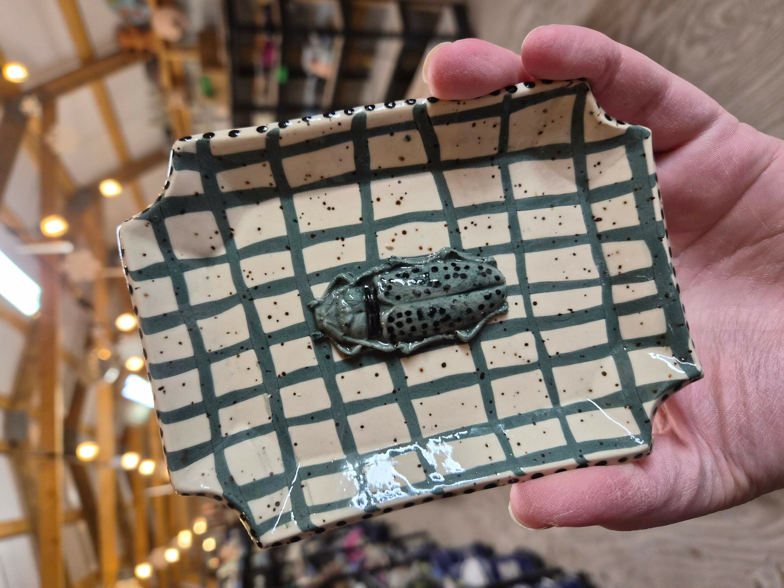 Person holding a rectangular ceramic dish with a black and white grid pattern and a small black and green insect on it.