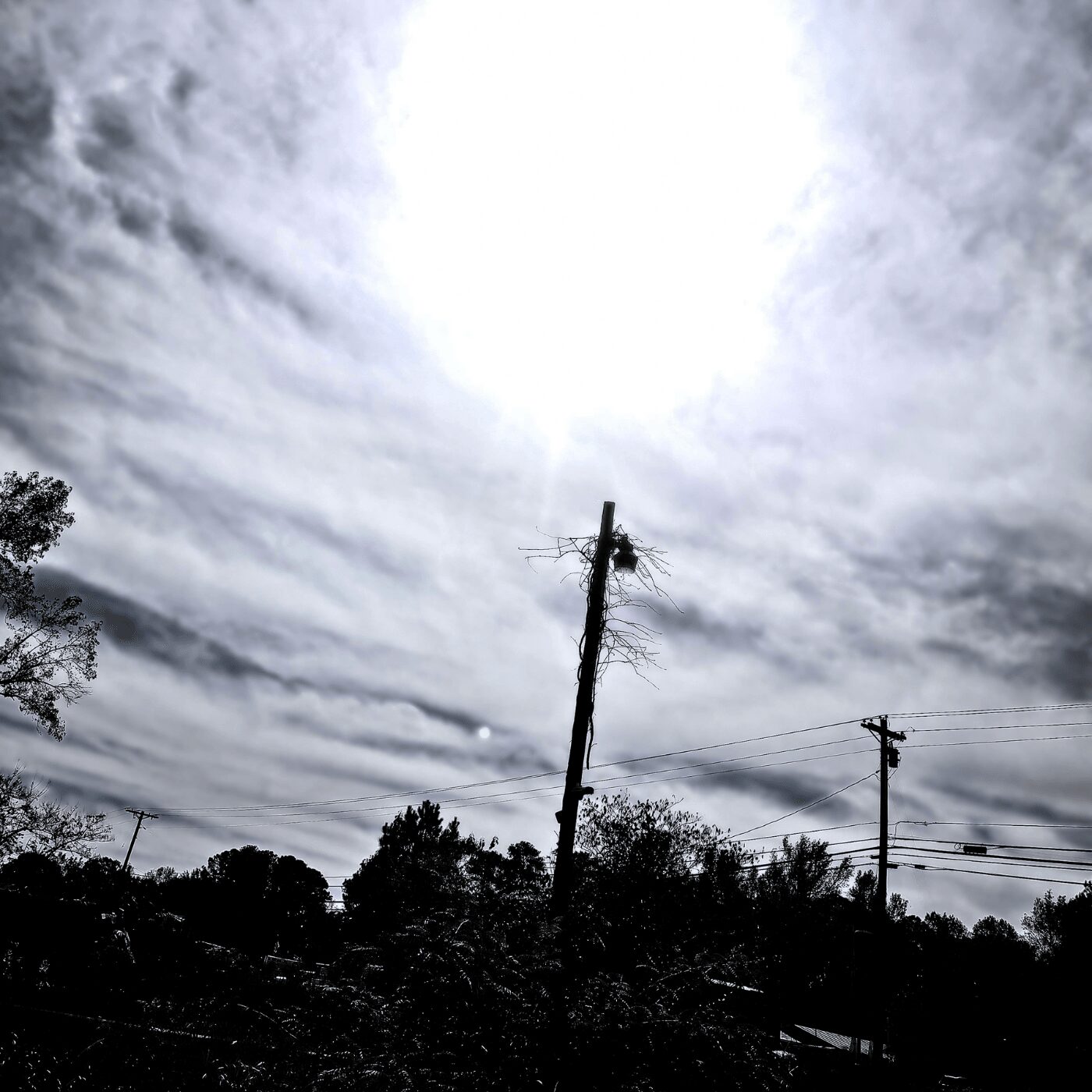 Overcast sky with the sun obscured by clouds, power poles and trees in the foreground.