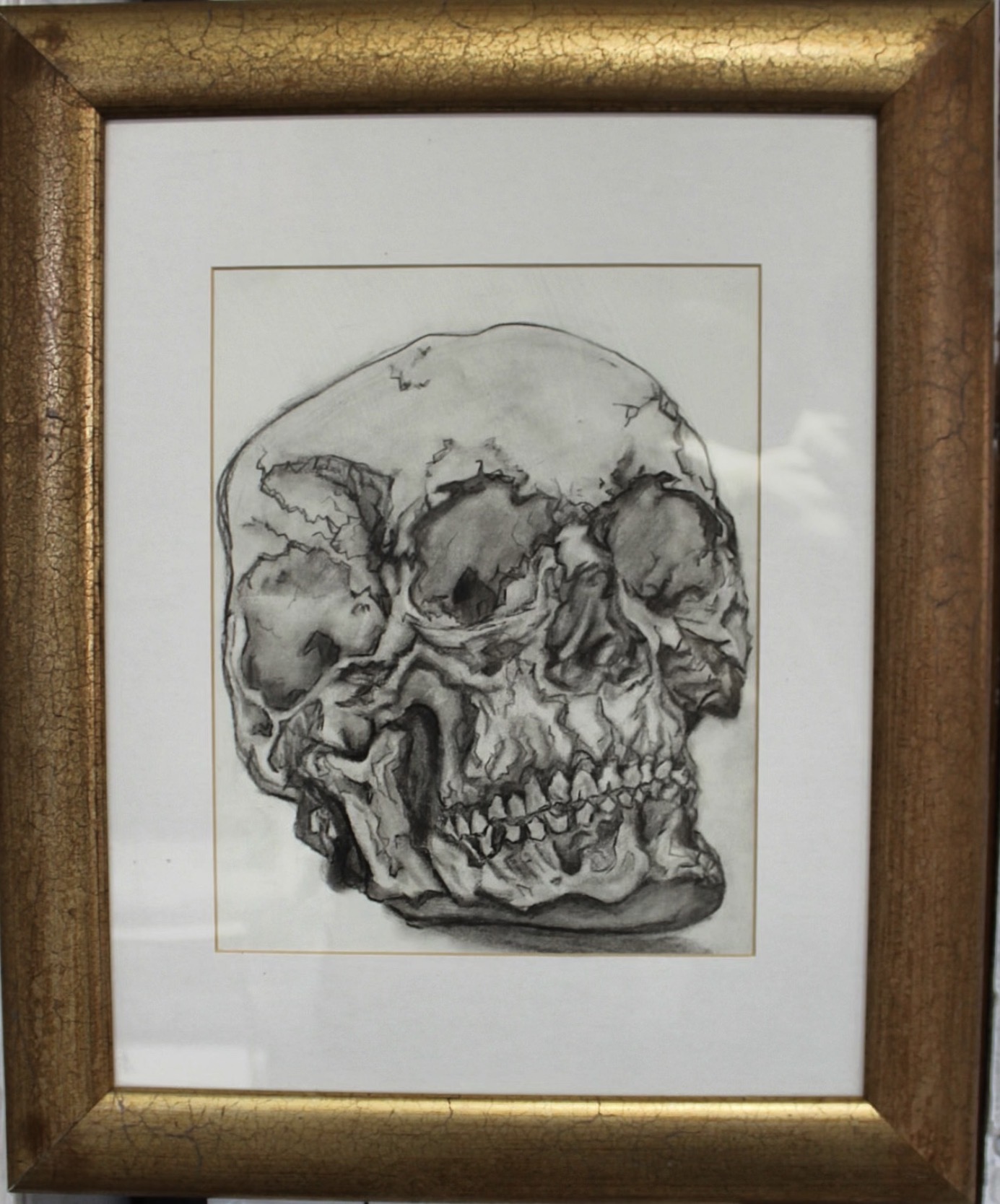 Sketch of a human skull in profile view, detailed with shading and line work.