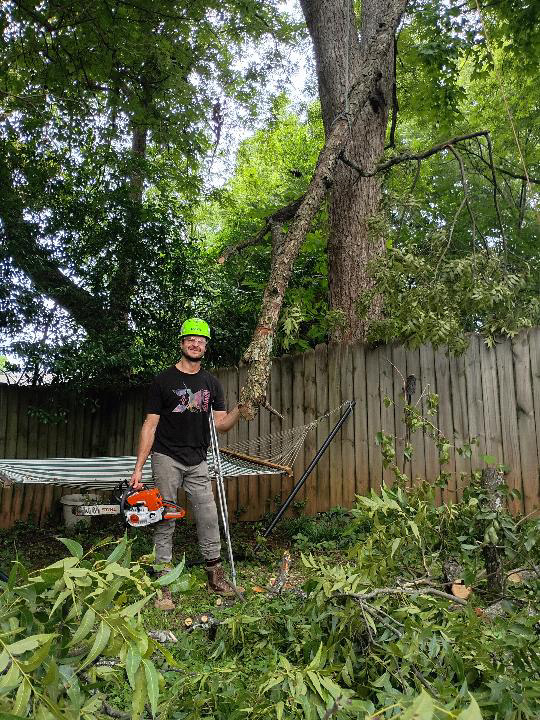 Person wearing a helmet and holding a chainsaw stands in a garden with fallen branches and trees, fence in background.