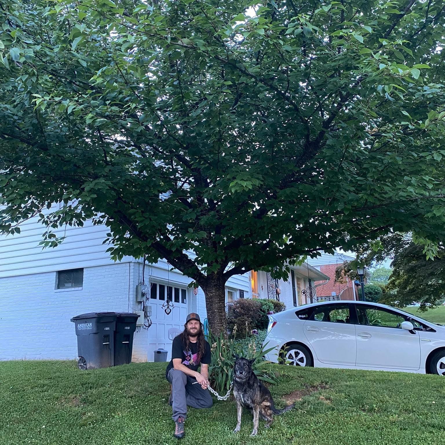 Person kneeling next to a dog on a grassy area under a large tree, with a house and a white car in the background.