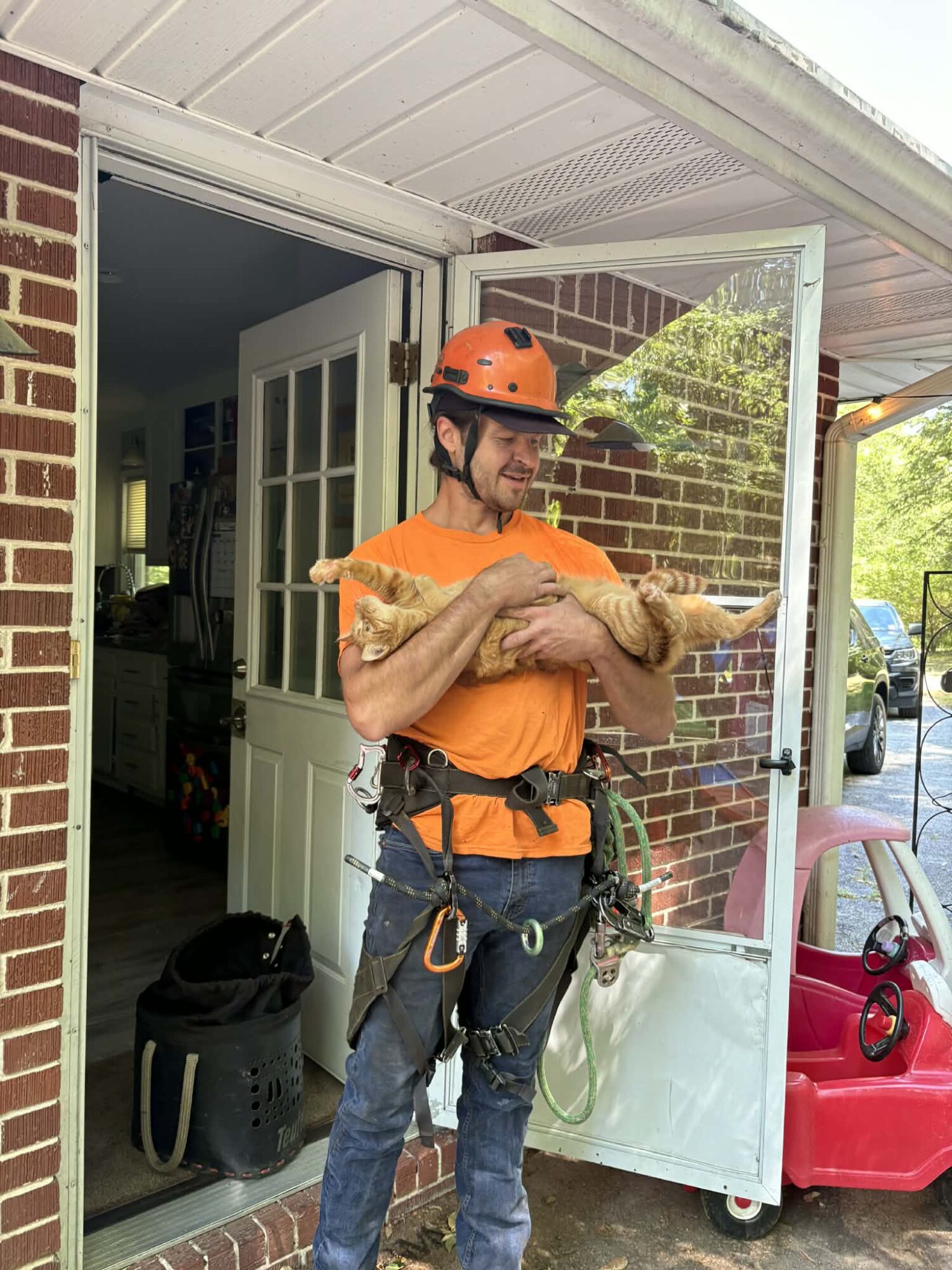 Person wearing an orange helmet and shirt holding an orange cat outside a house door, with a pink toy car nearby.