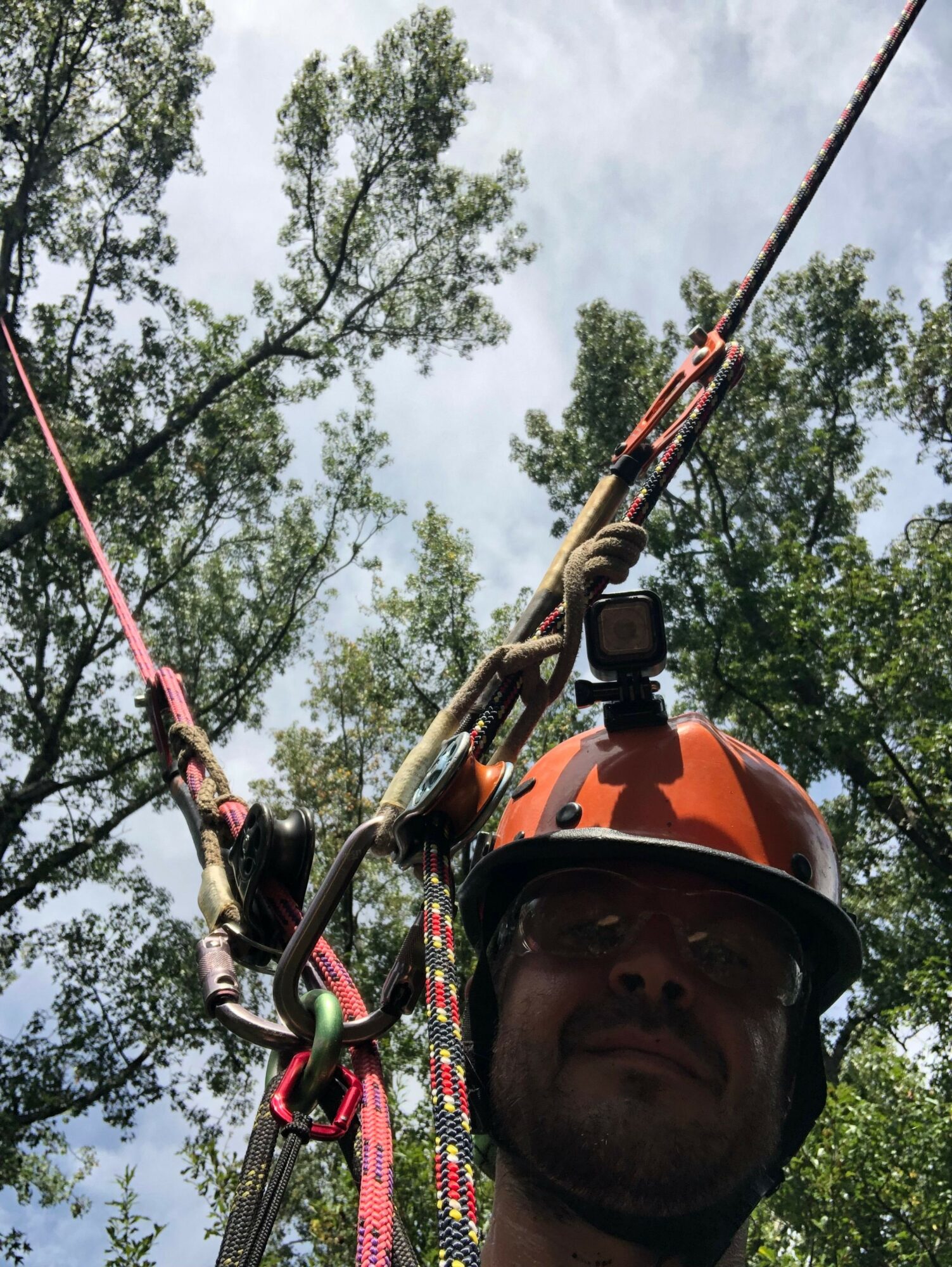 Person wearing a helmet and harness, climbing a tree with a background of sky and trees.