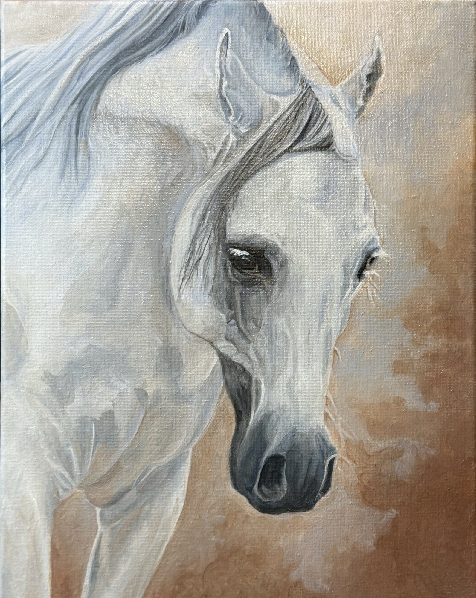 Close-up of a white horse's head with a flowing mane, facing slightly to the right, against a neutral background.