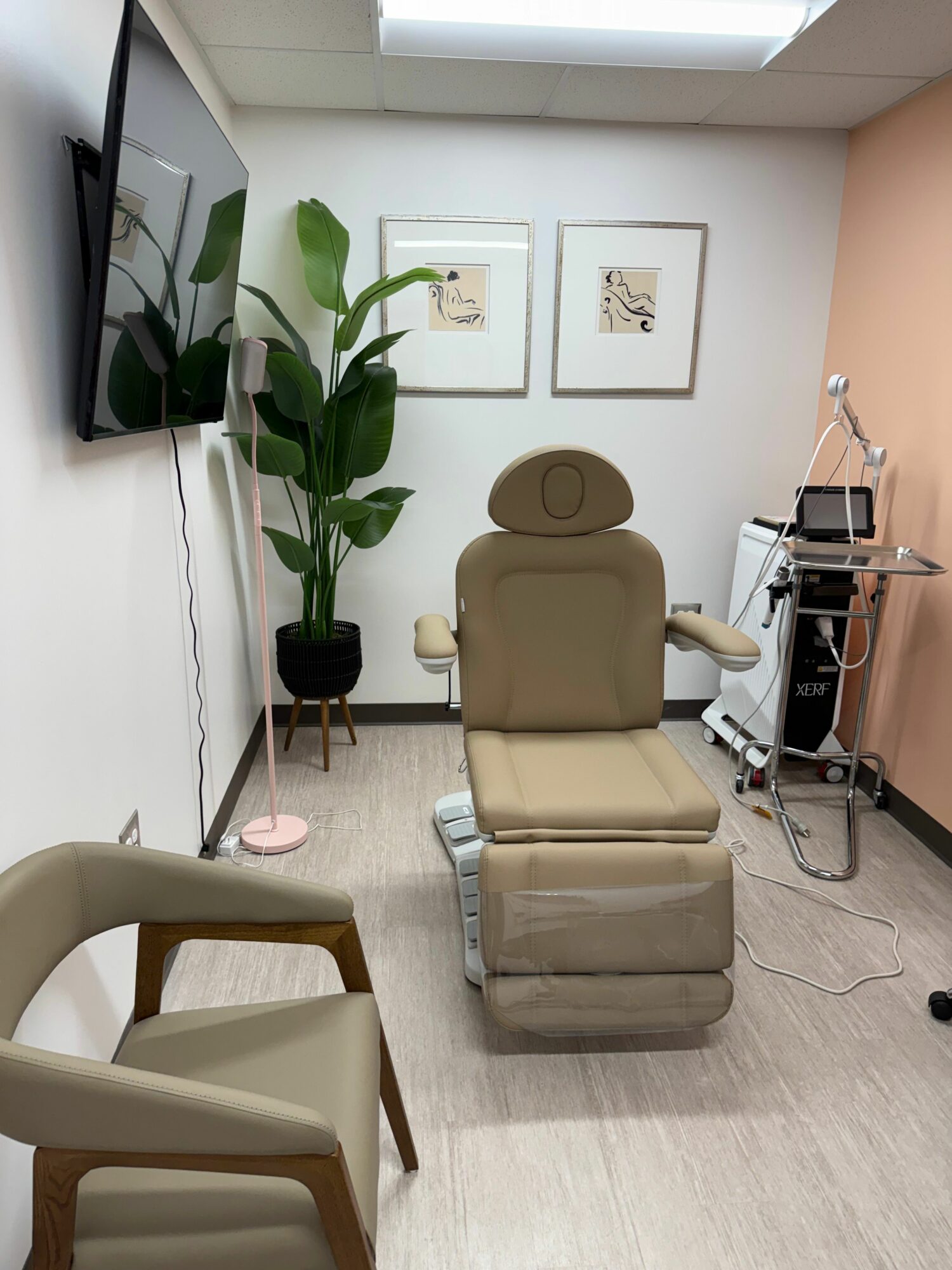 Medical examination room with beige chair, monitor, plant, and framed artwork on white walls.