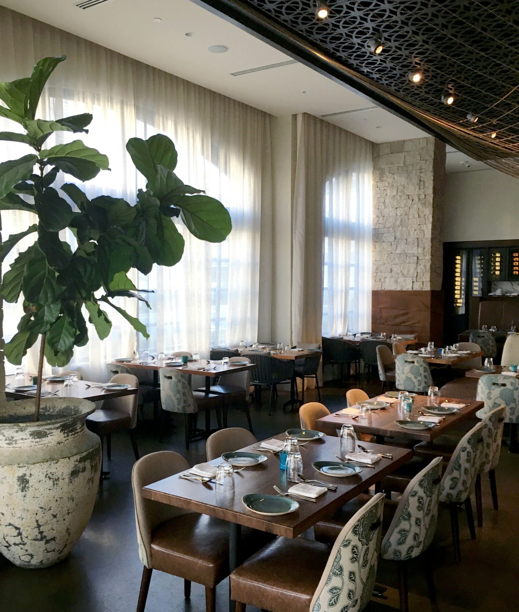 Restaurant interior with large potted plant, tables set with plates, glasses, and cutlery, and large windows with curtains.