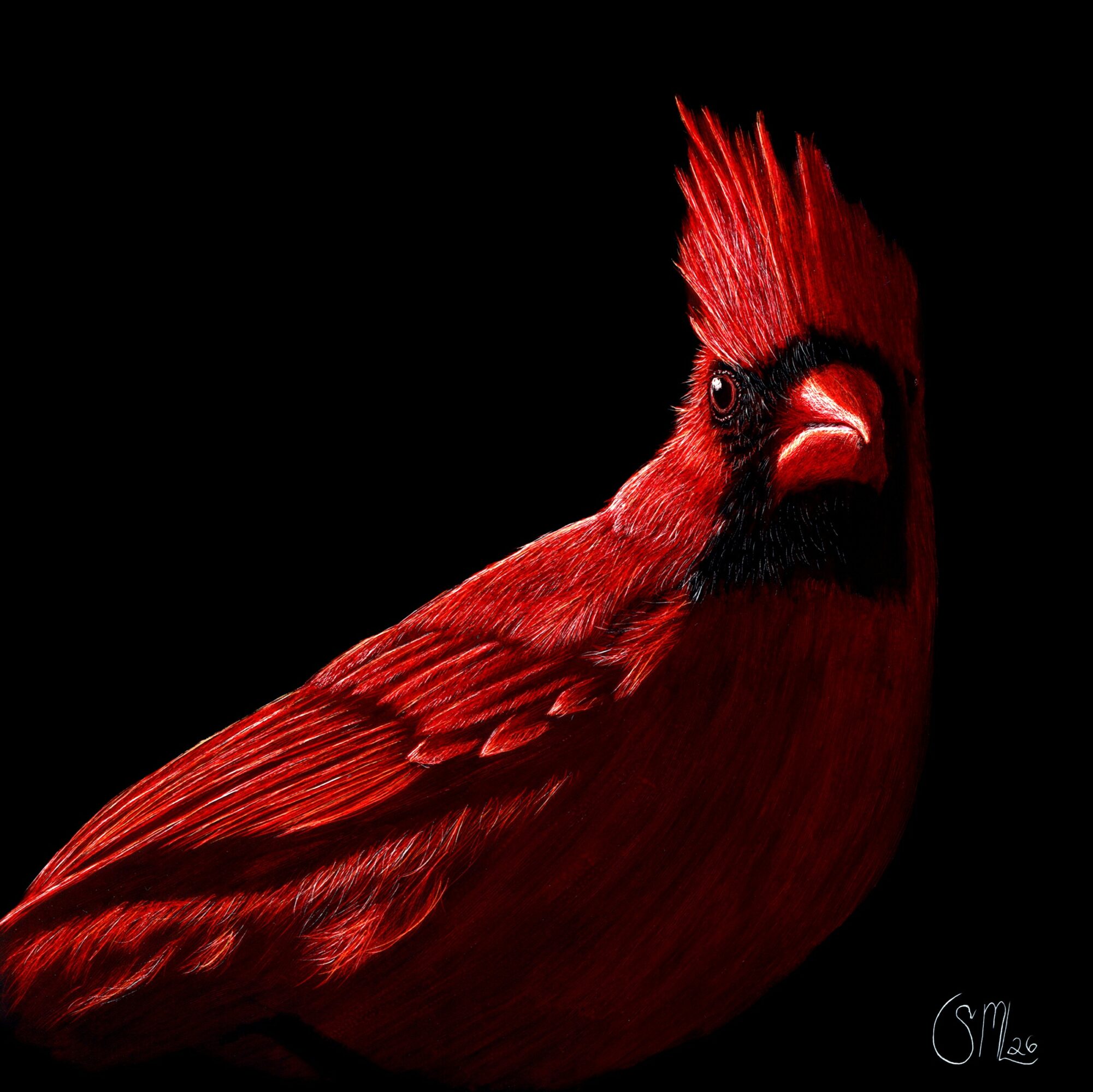 Bright red bird with a crest and black face, set against a black background.